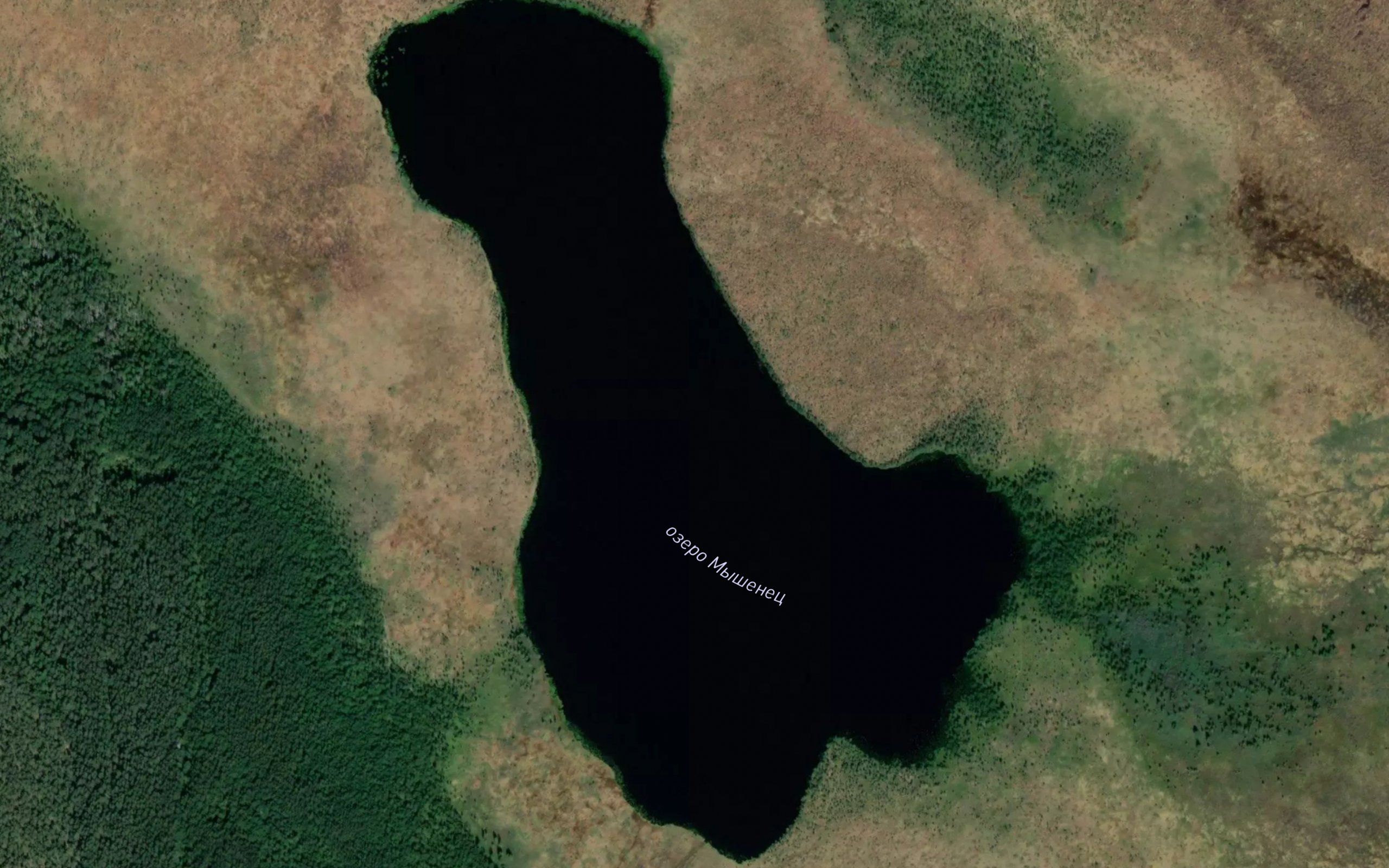 Ozero Myshenets