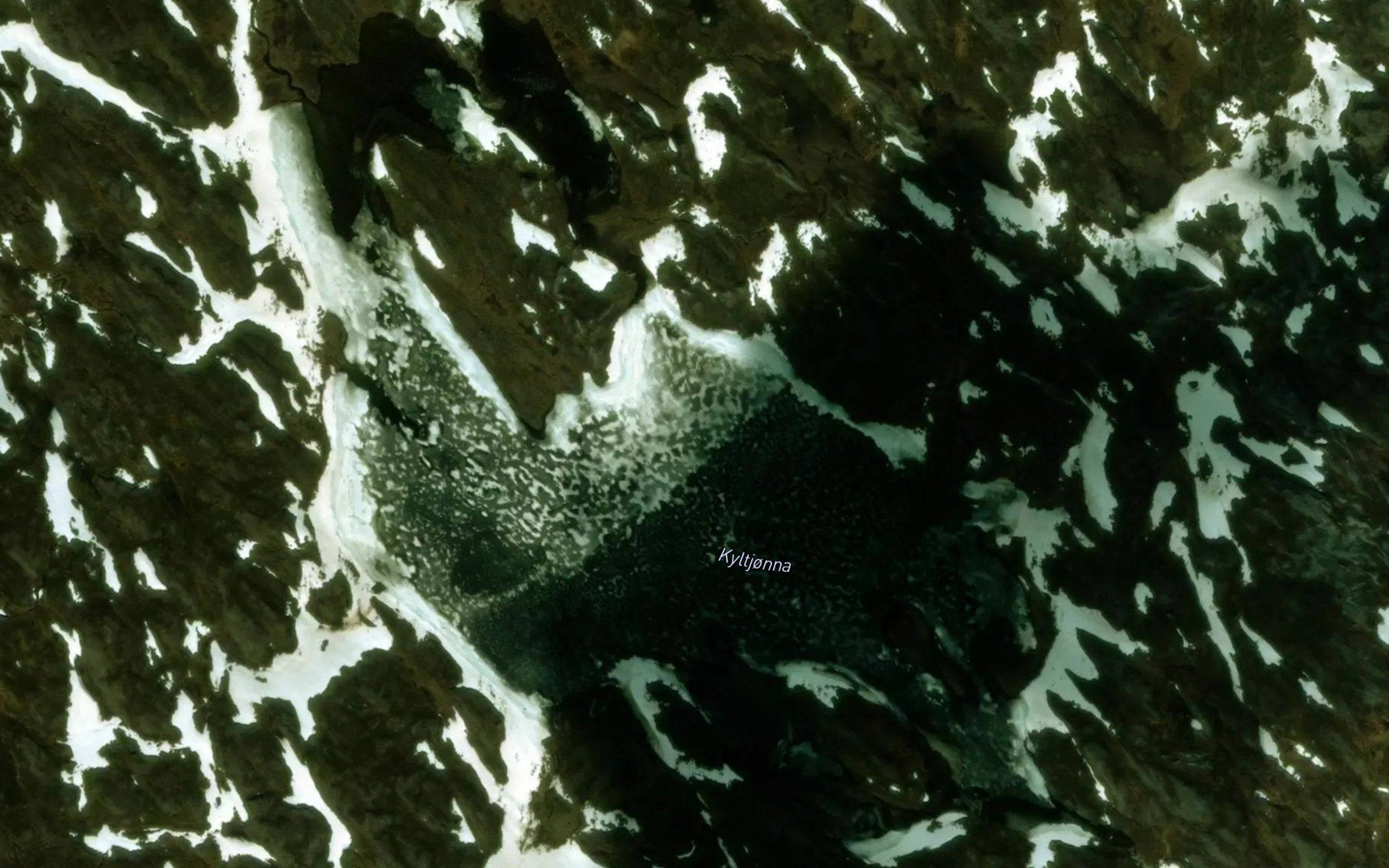 Kyltjorna