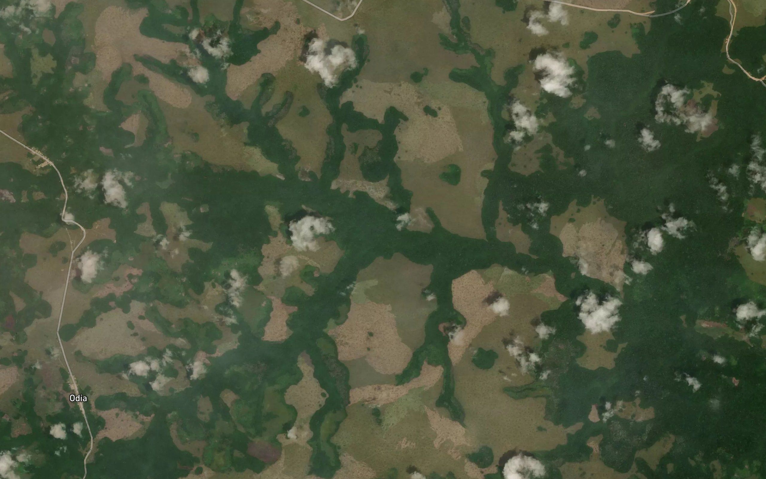 Lessanga