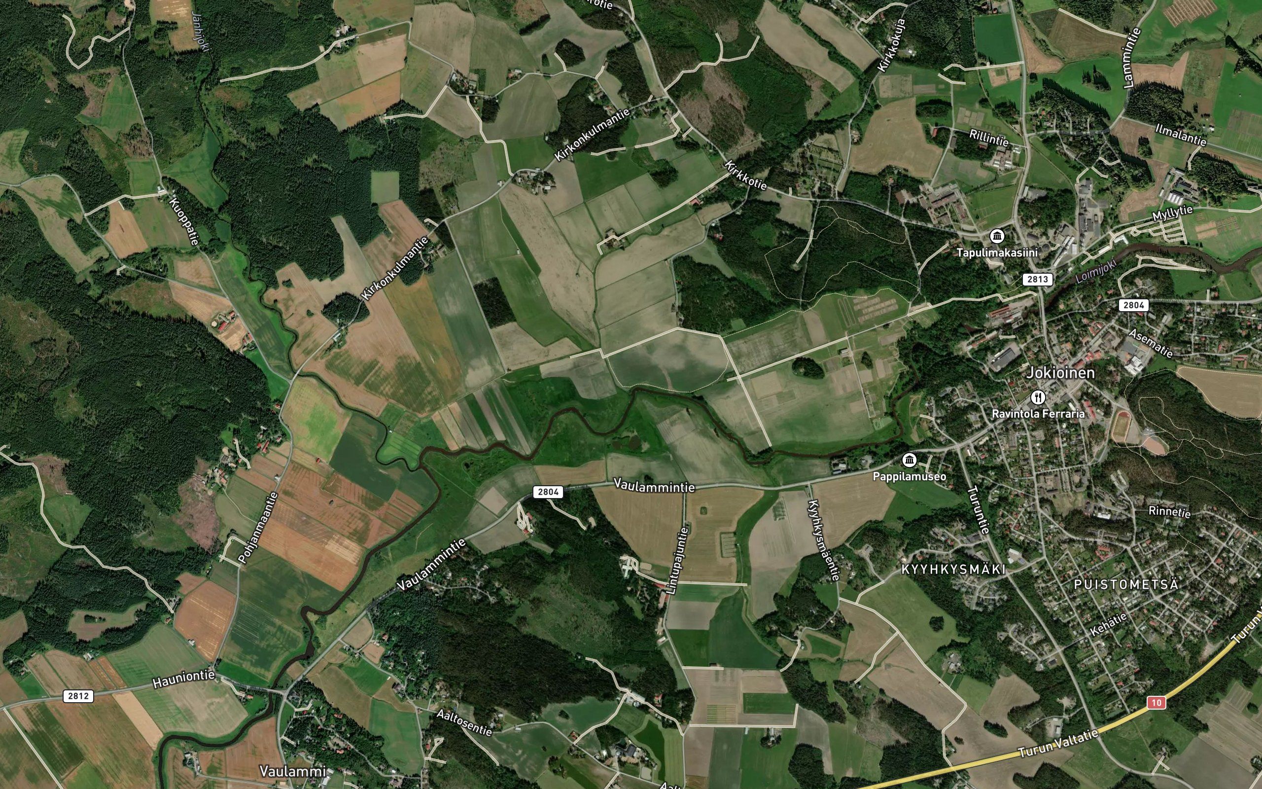 Koivusoja