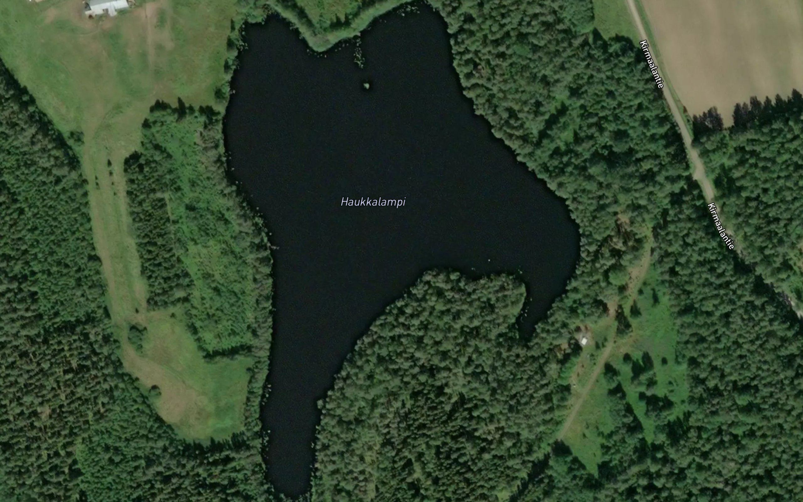 Haukkalampi