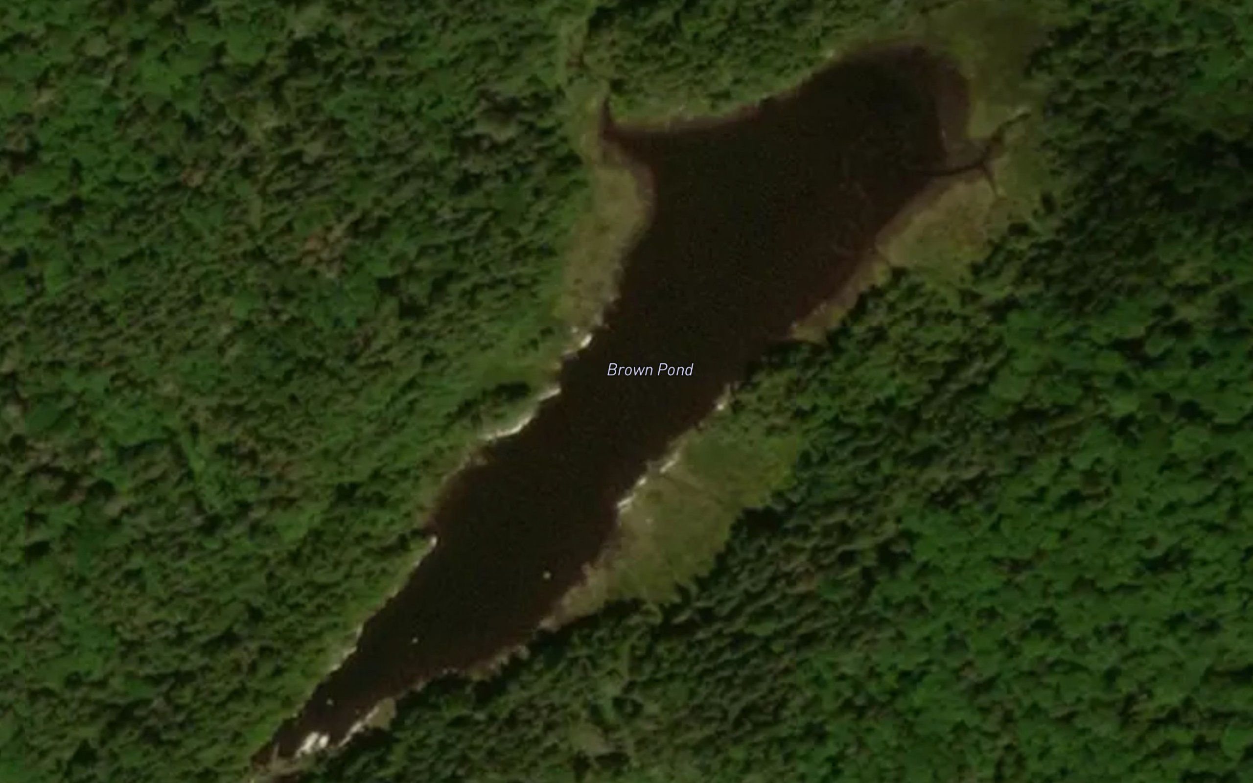Brown Pond