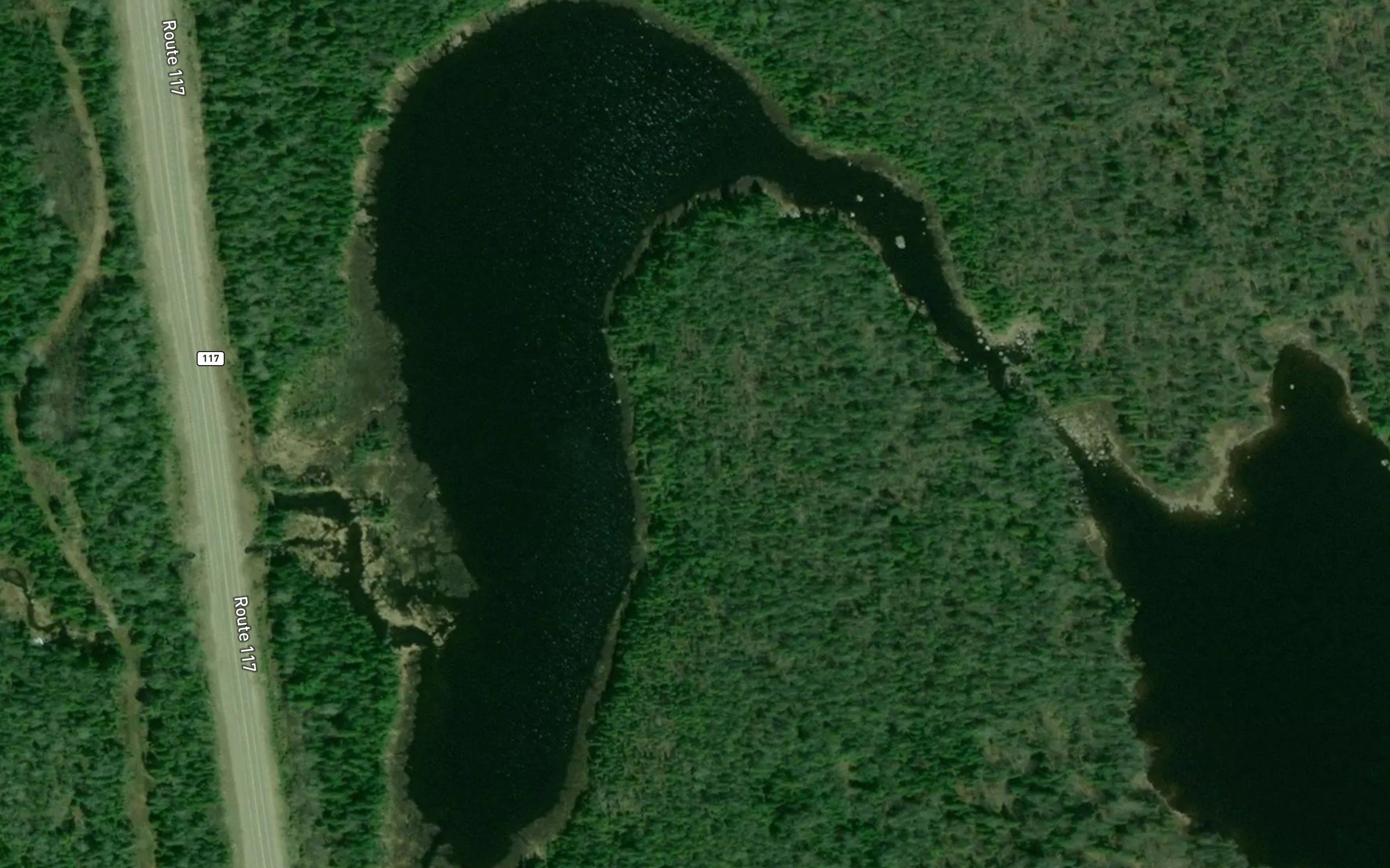 Lac de la Futaie