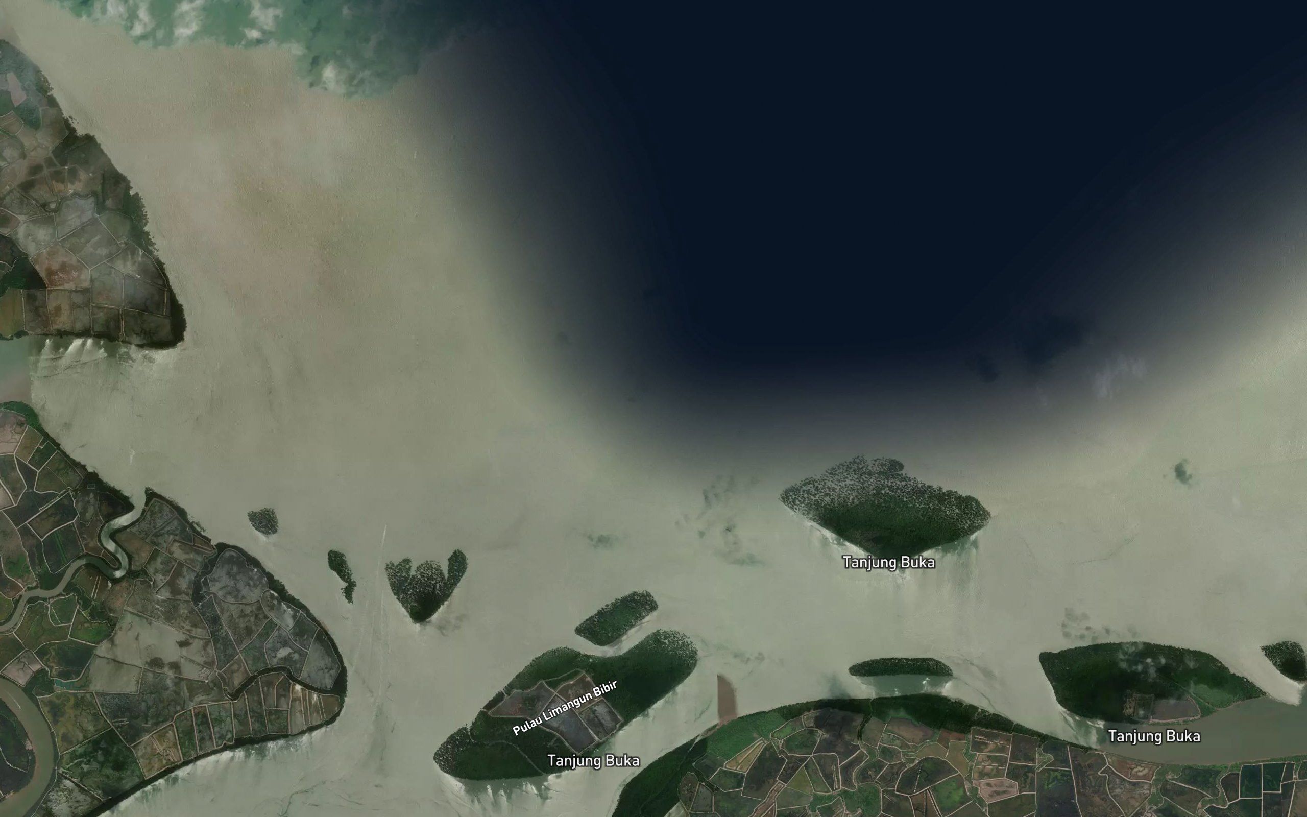 Muara Salinbatu