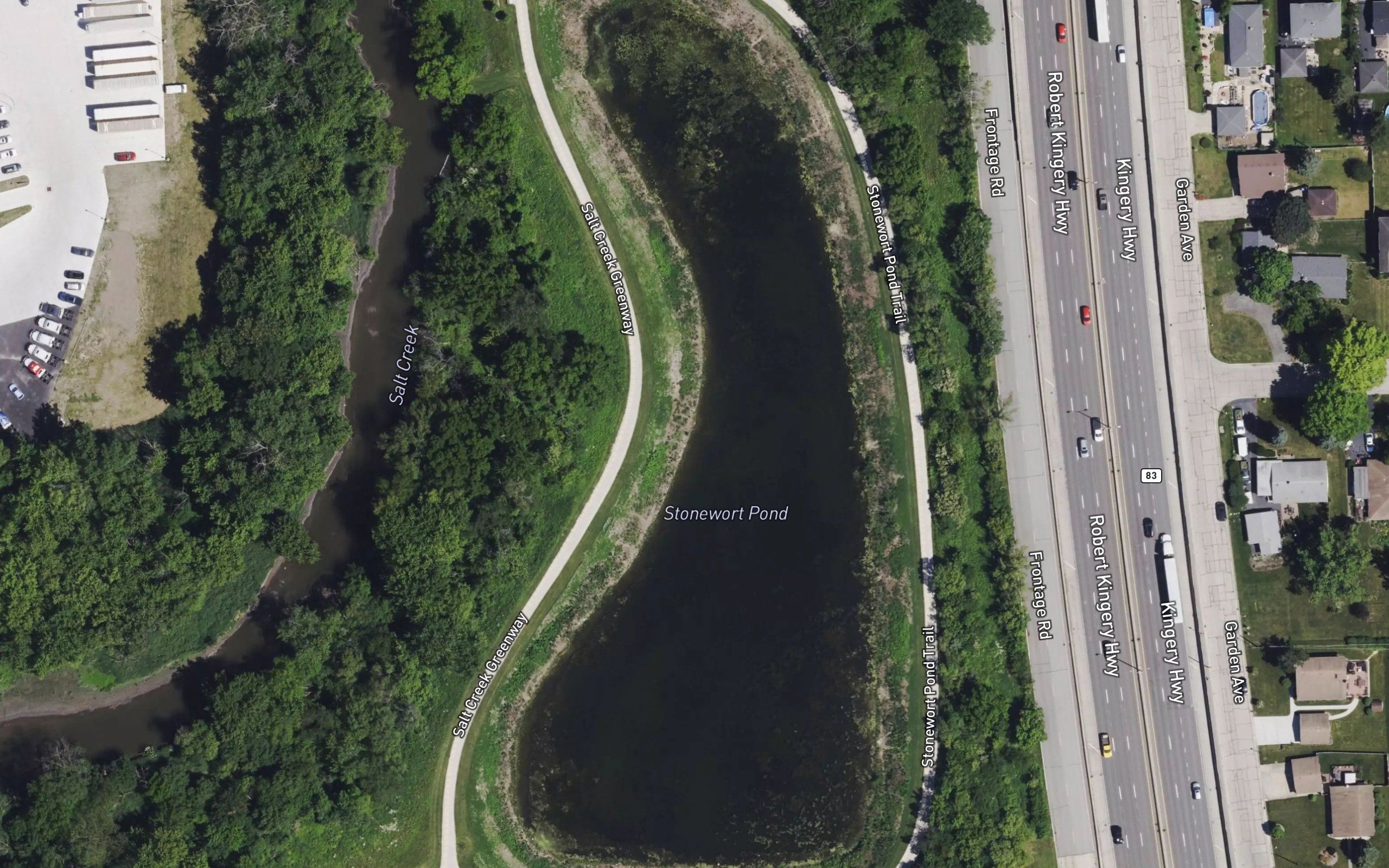 Stonewort Pond