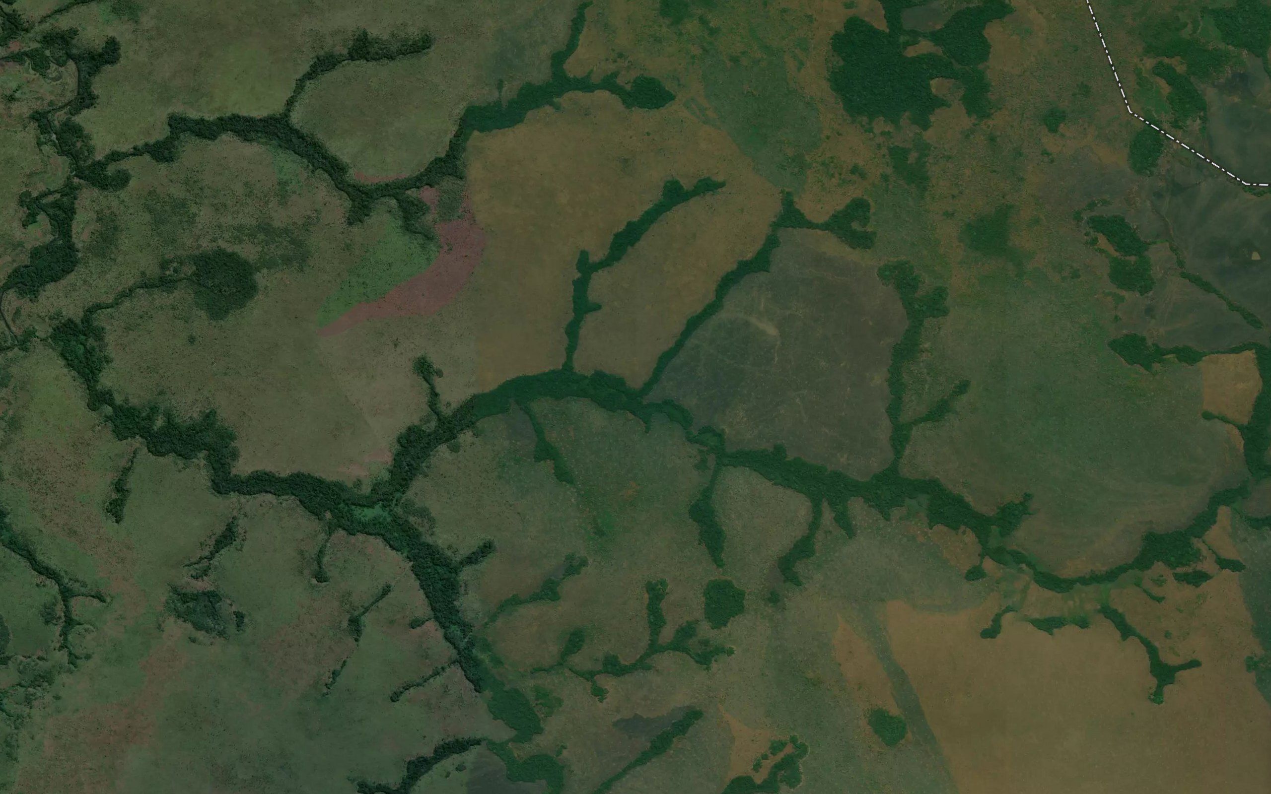 Kasari