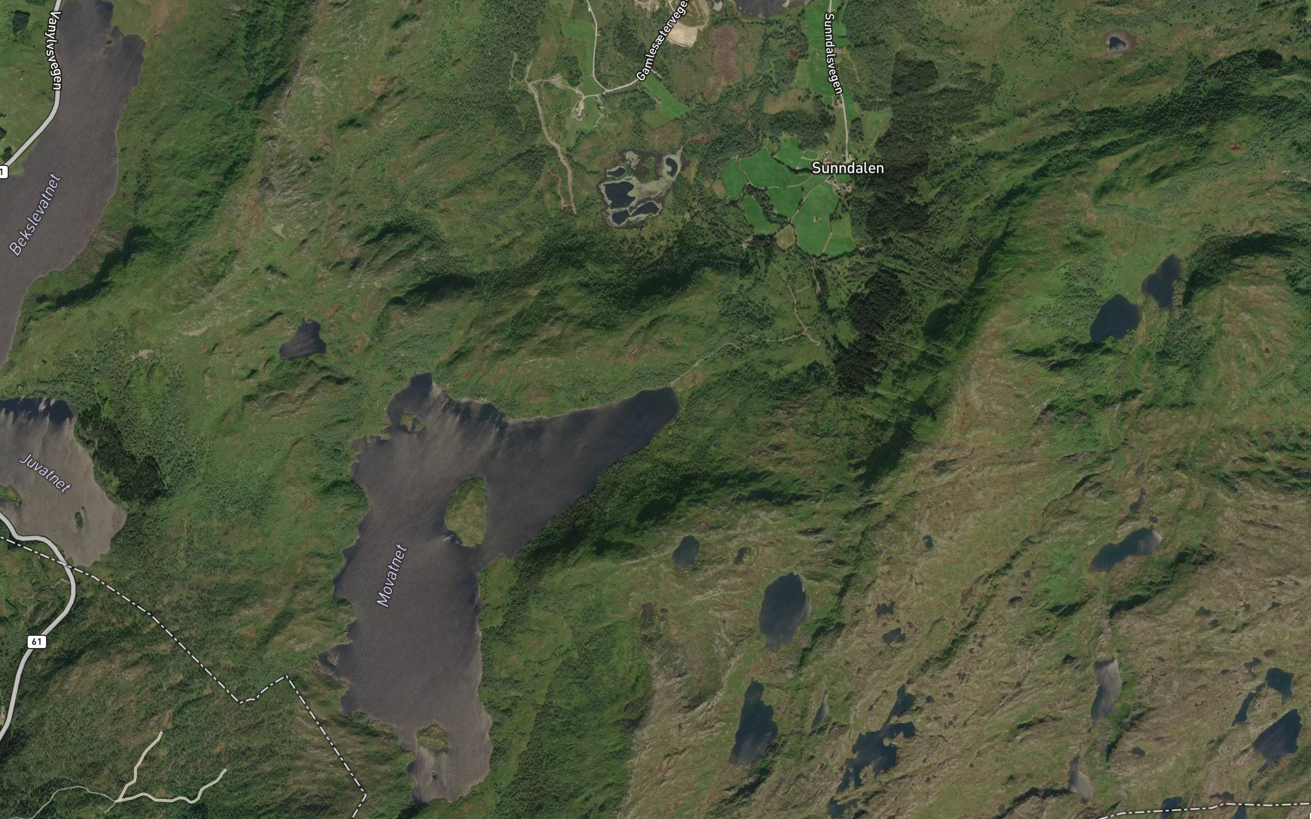 Movatnet