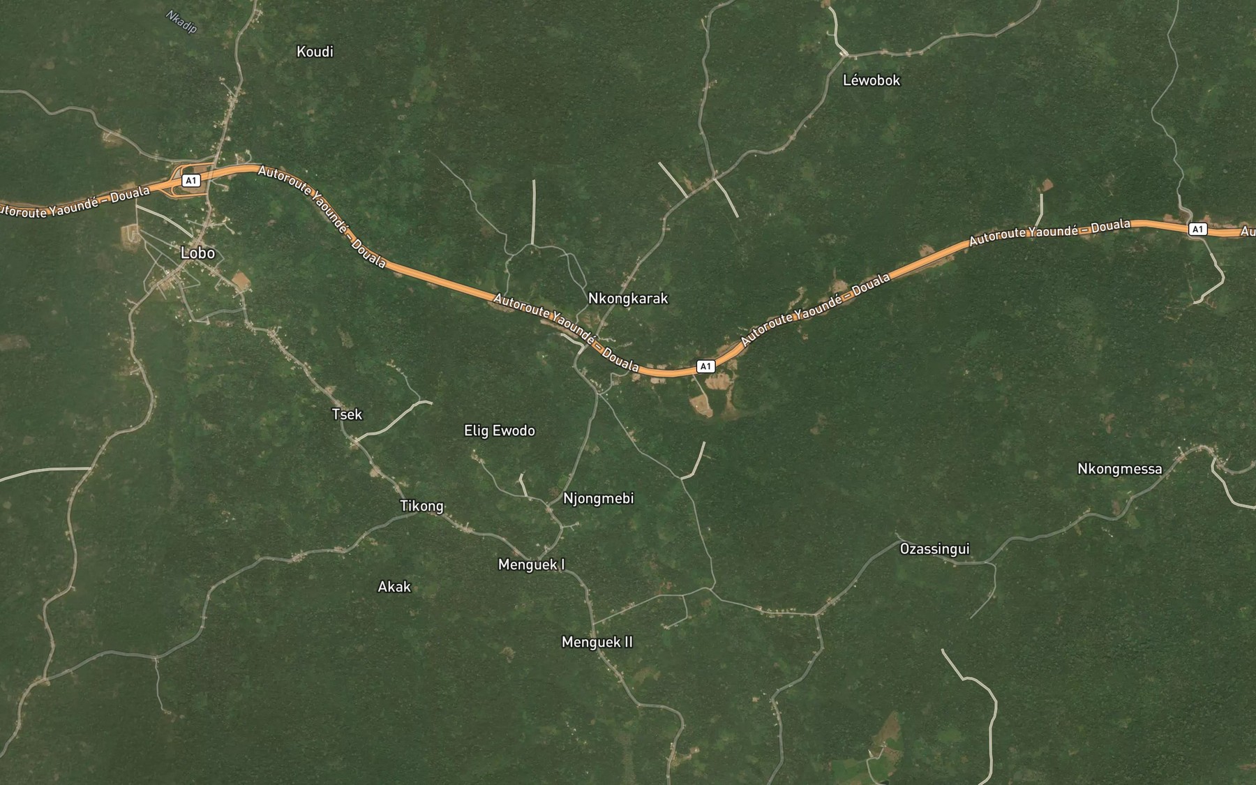 Satellite map of the Nkadip
