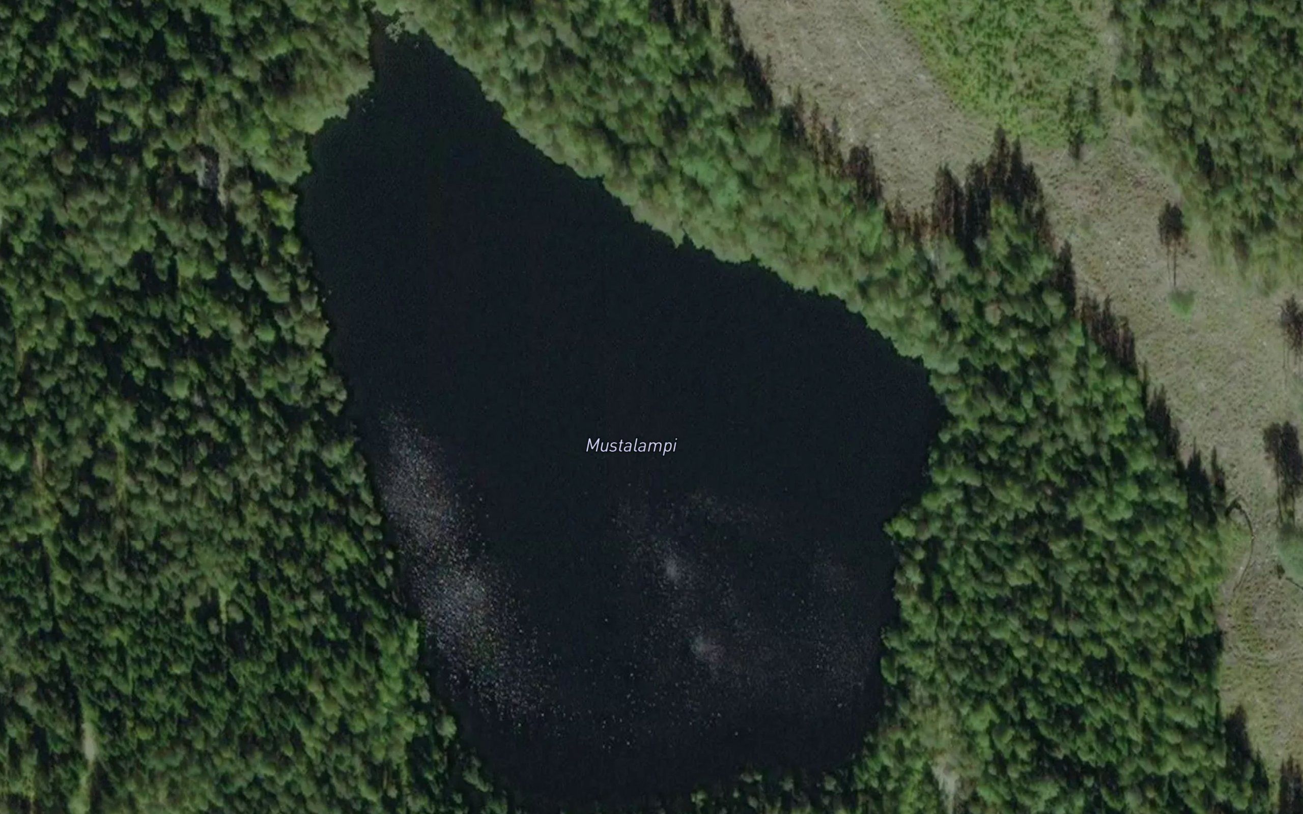 Mustalampi