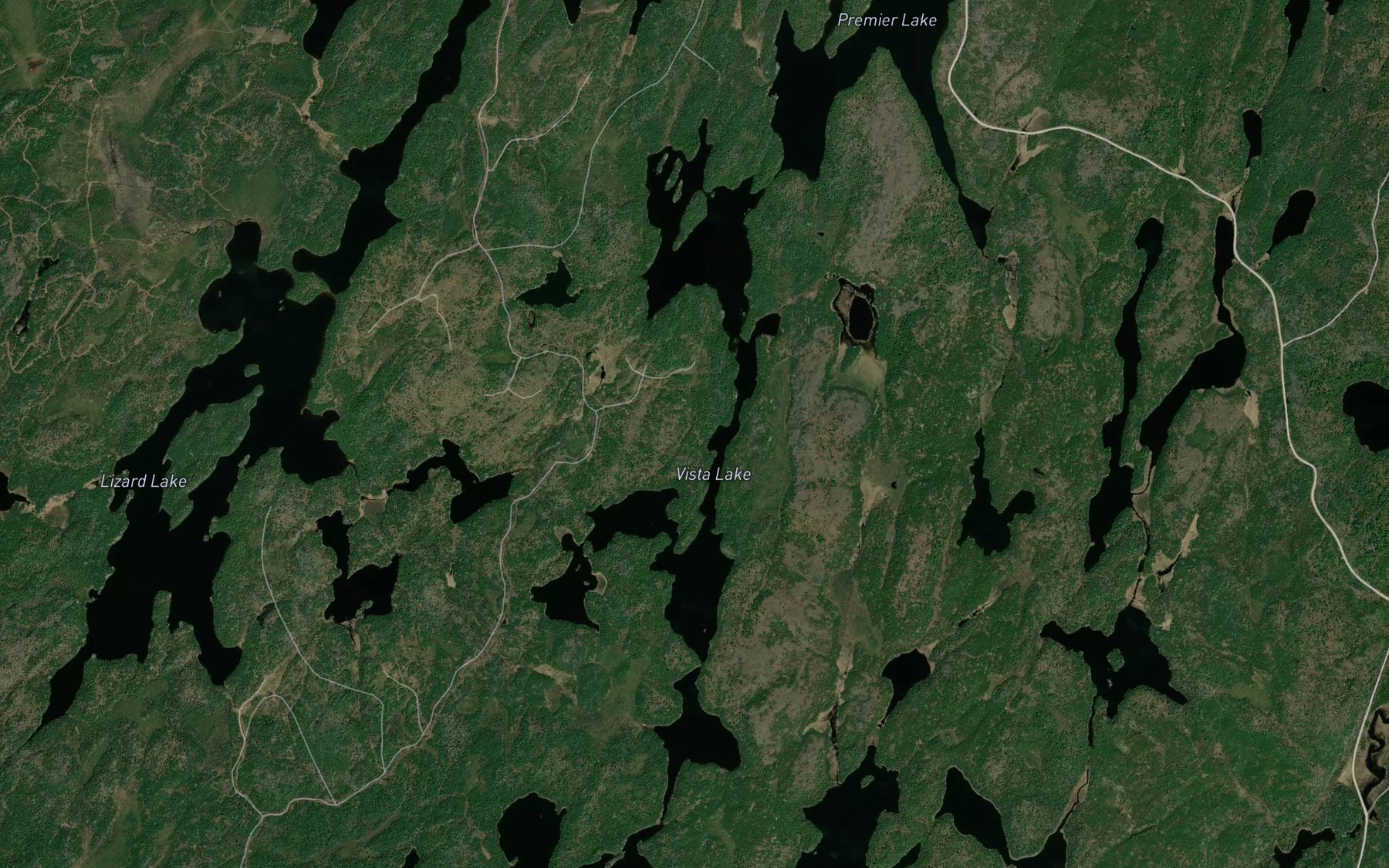 Satellite map of the Vista Lake
