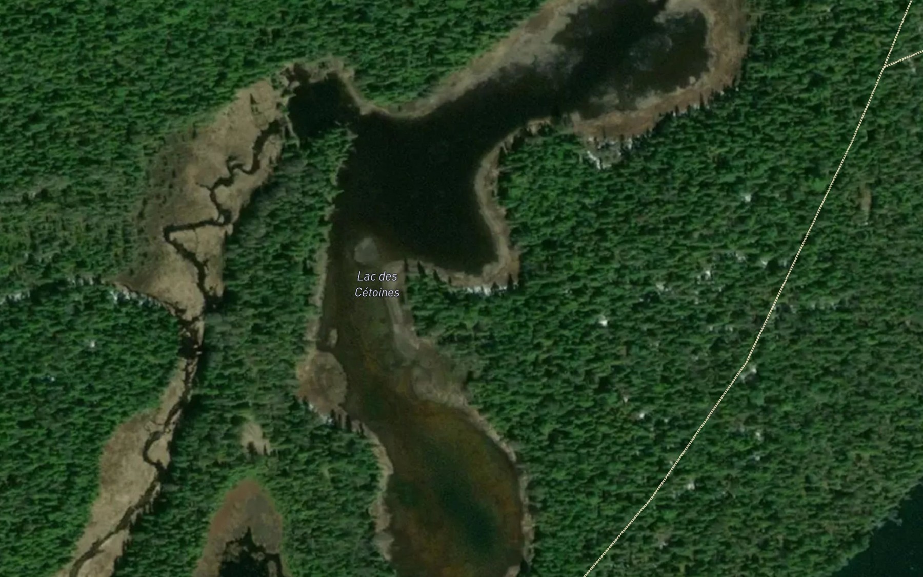 Satellite map of the Lac des Cetoines