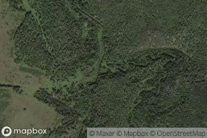 Tilichet Panakachetskaya