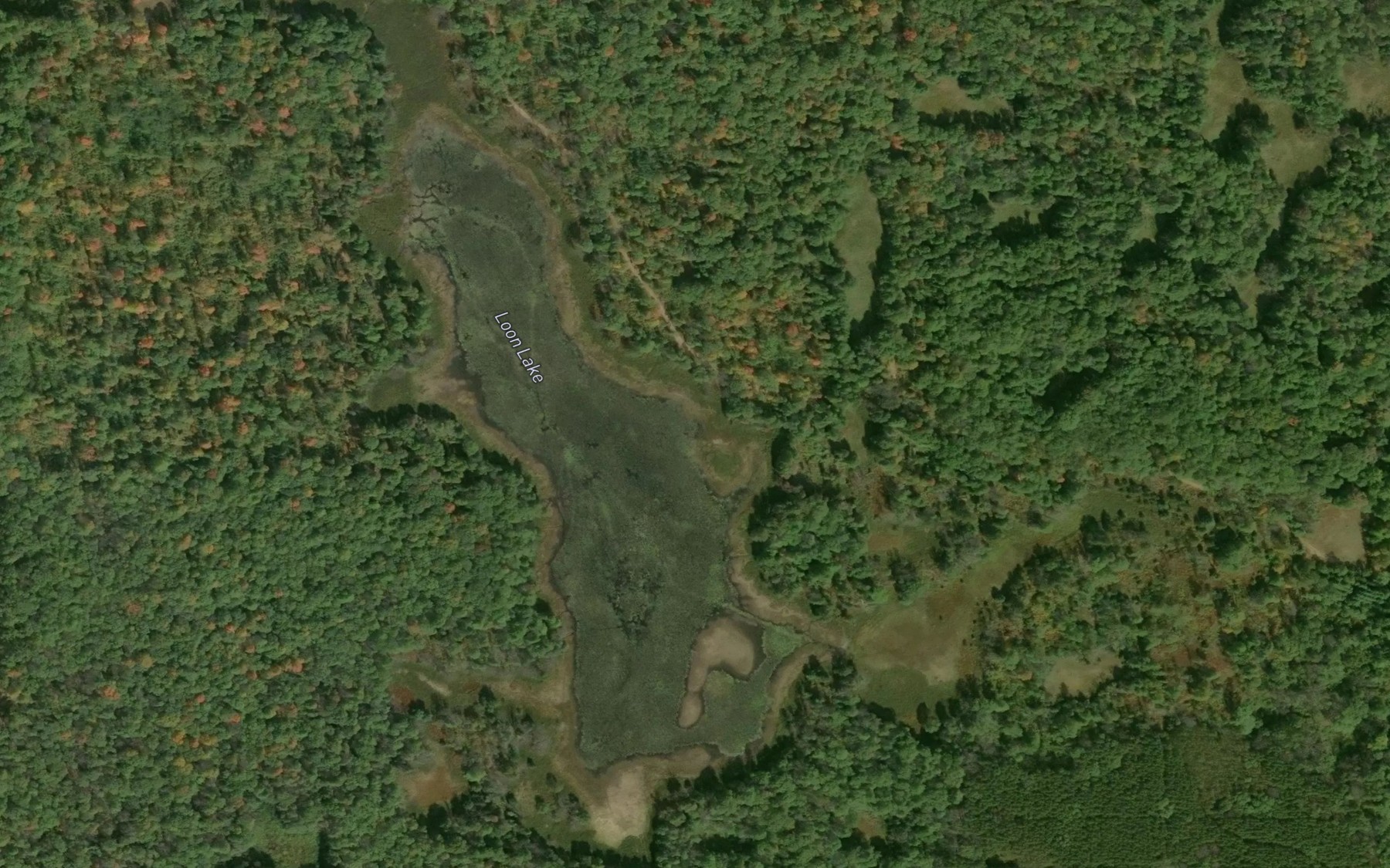 Satellite map of the Loon Lake