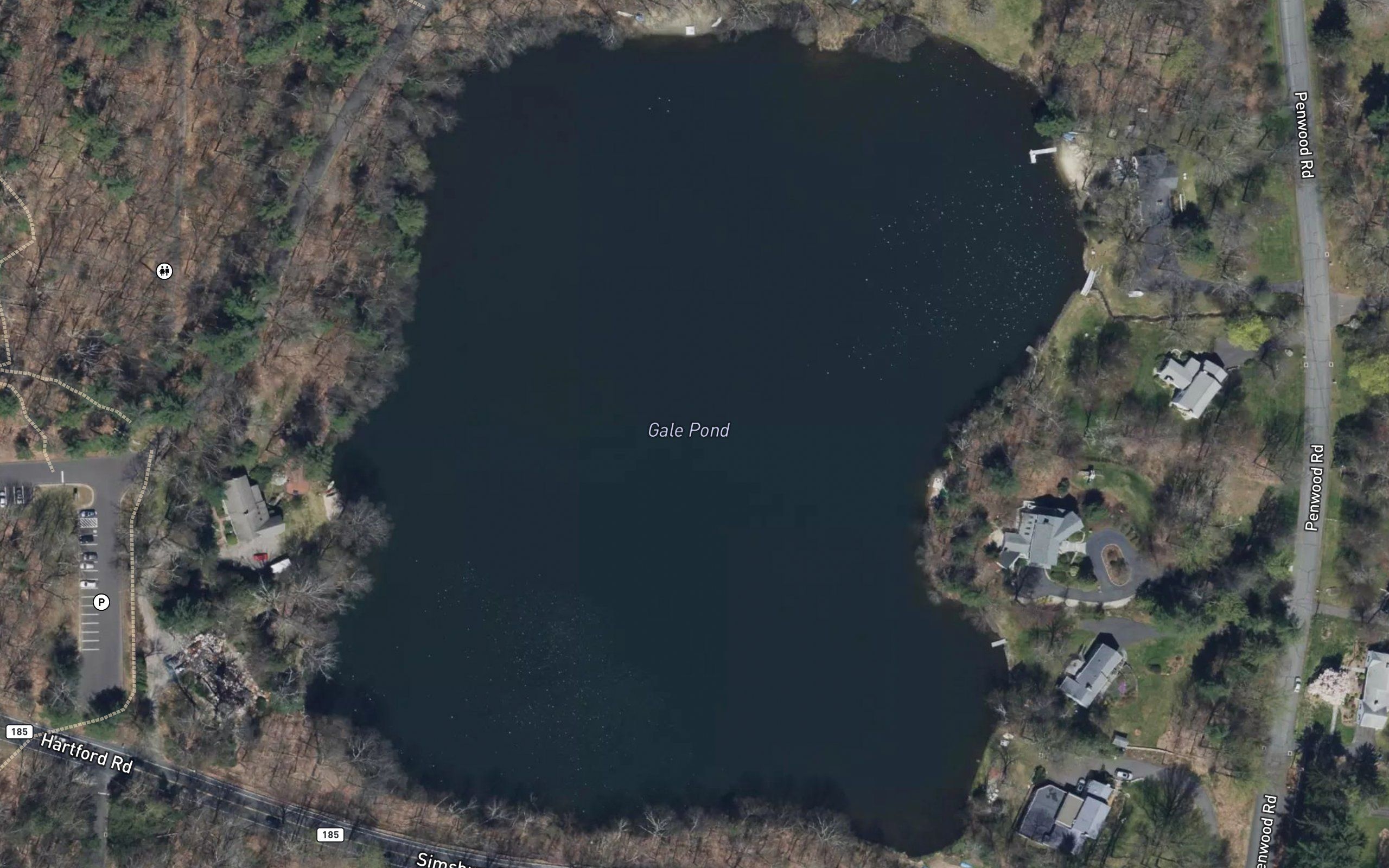 Gale Pond