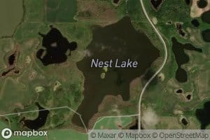 Nest Lake