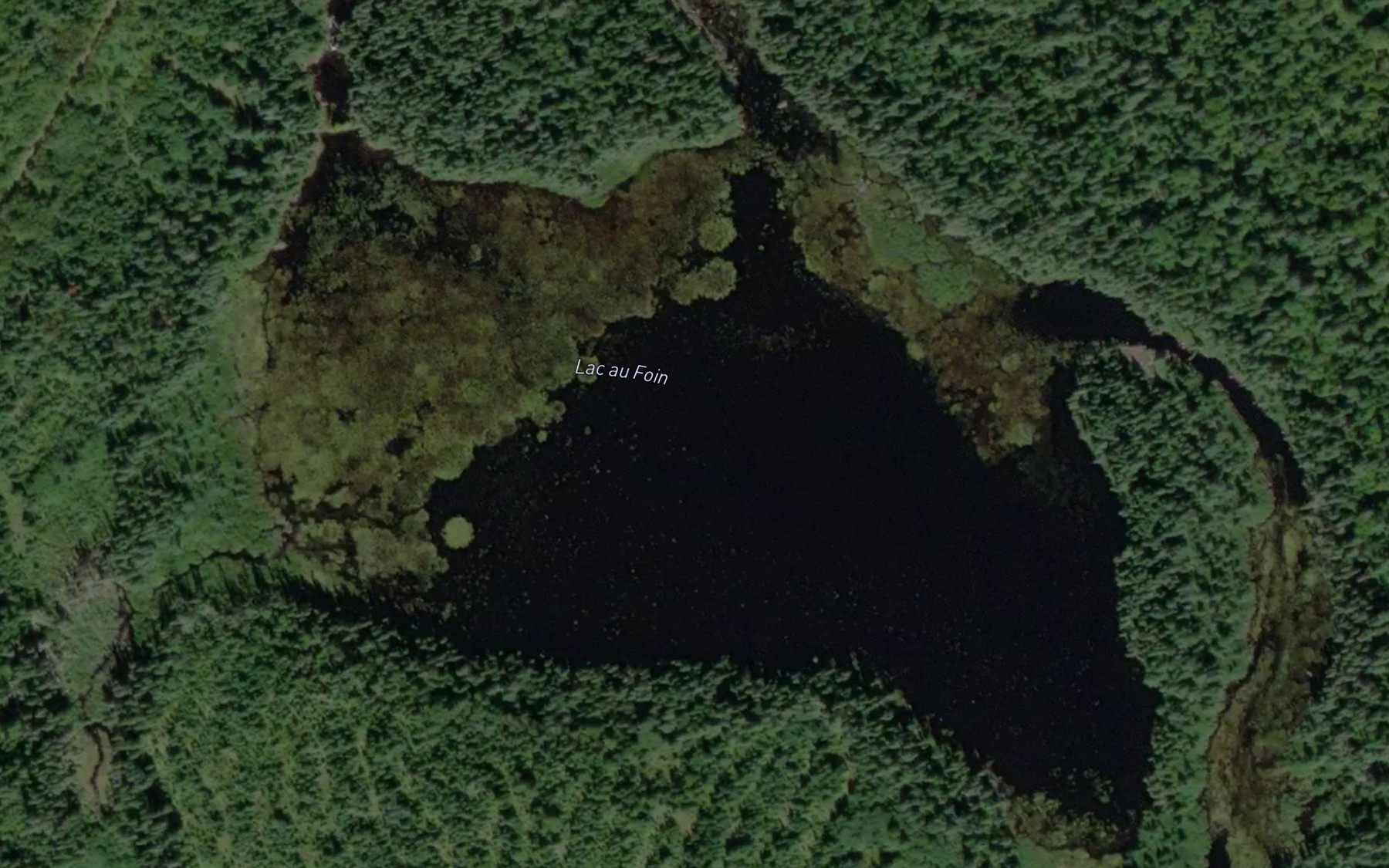 Satellite map of the Lac au Foin