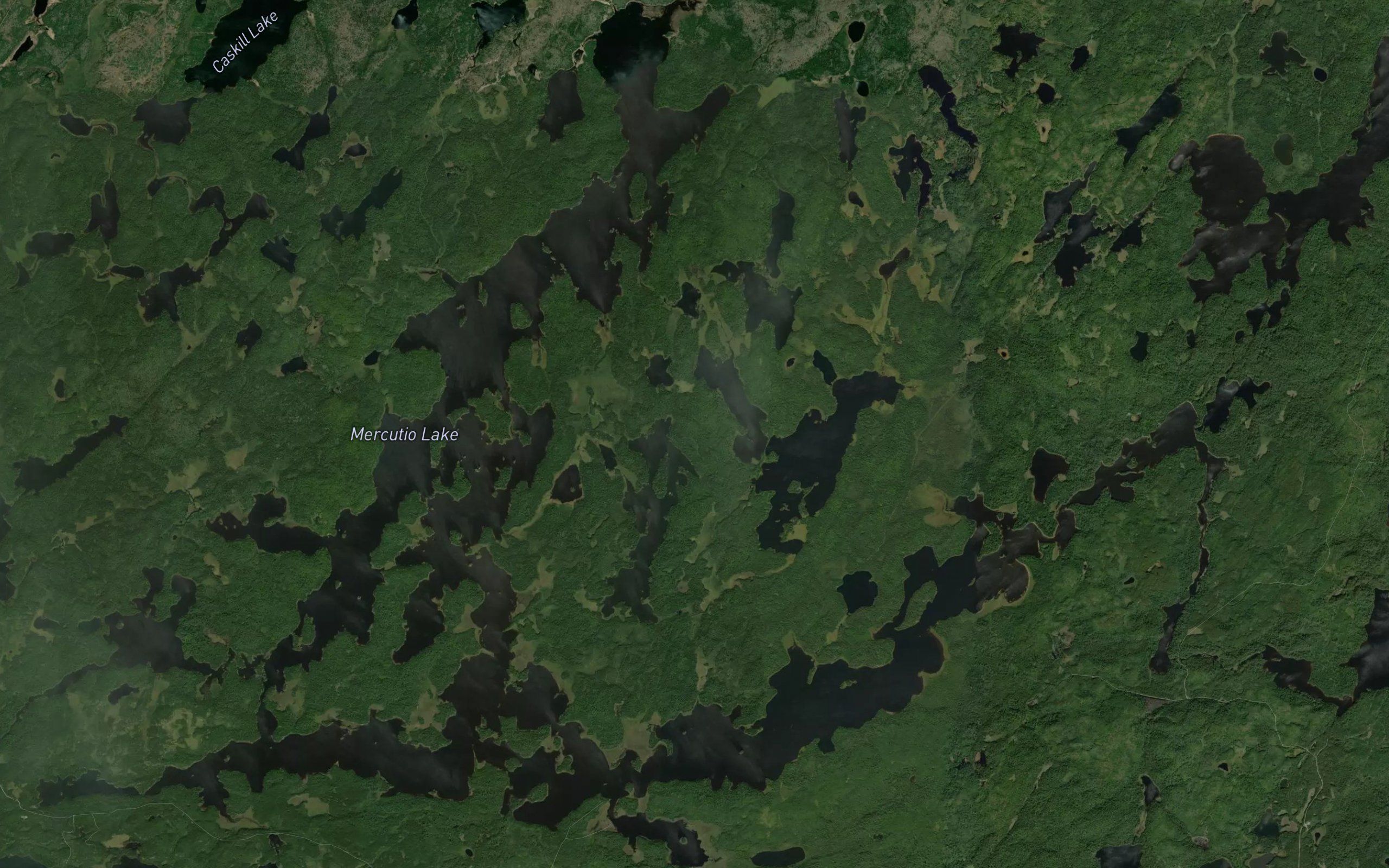 Mercutio Lake