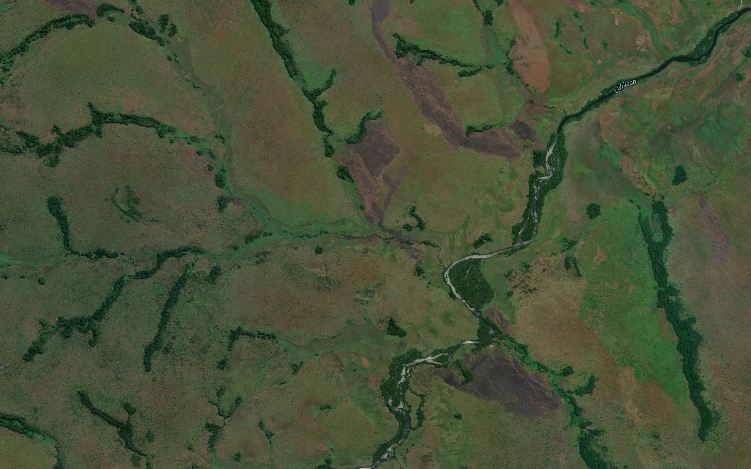 Tshamwamba