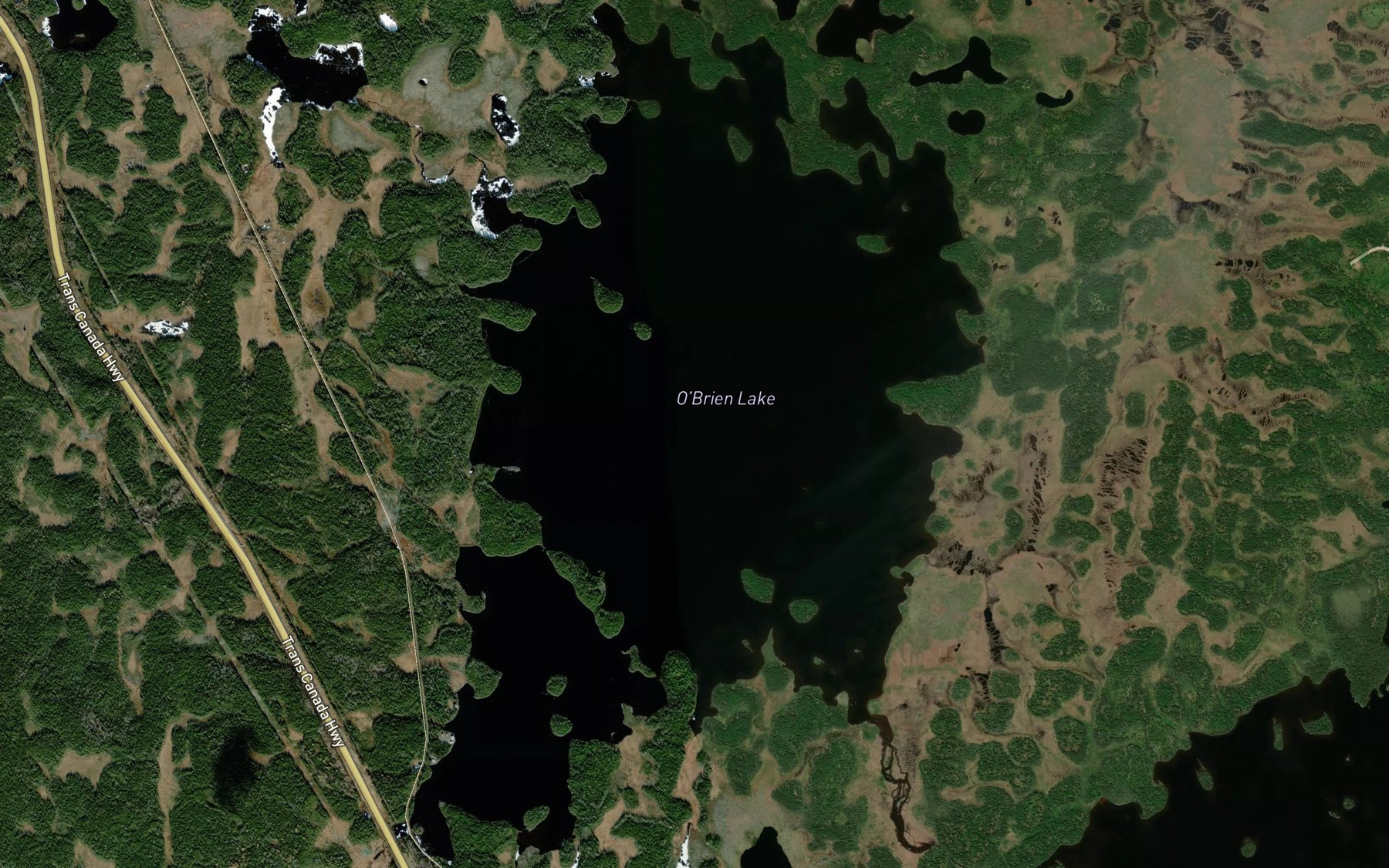 Satellite map of the O'Brien Lake