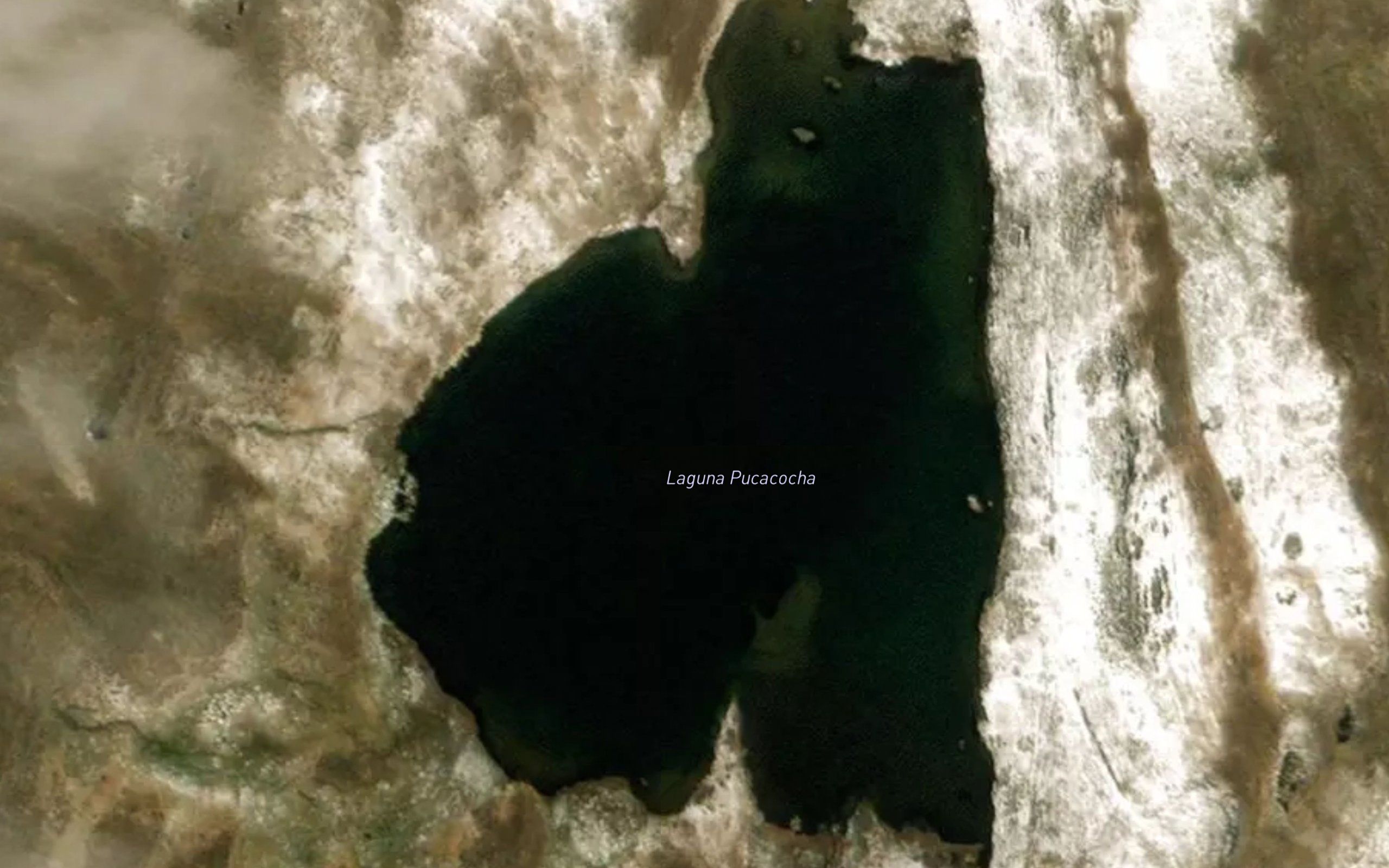 Laguna Pucacocha