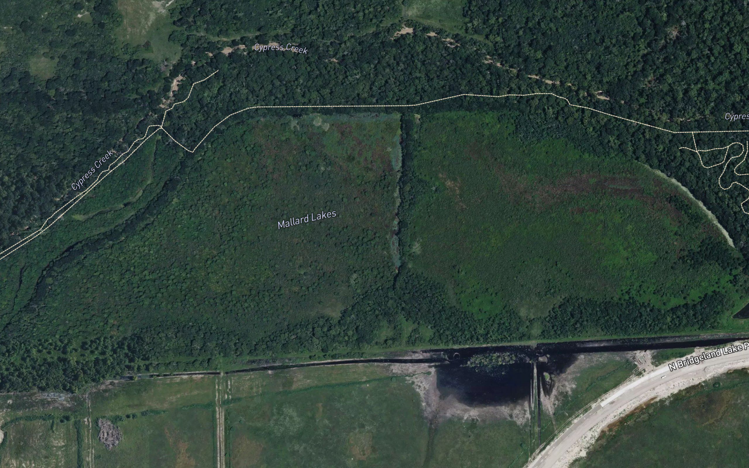 Mallard Lake