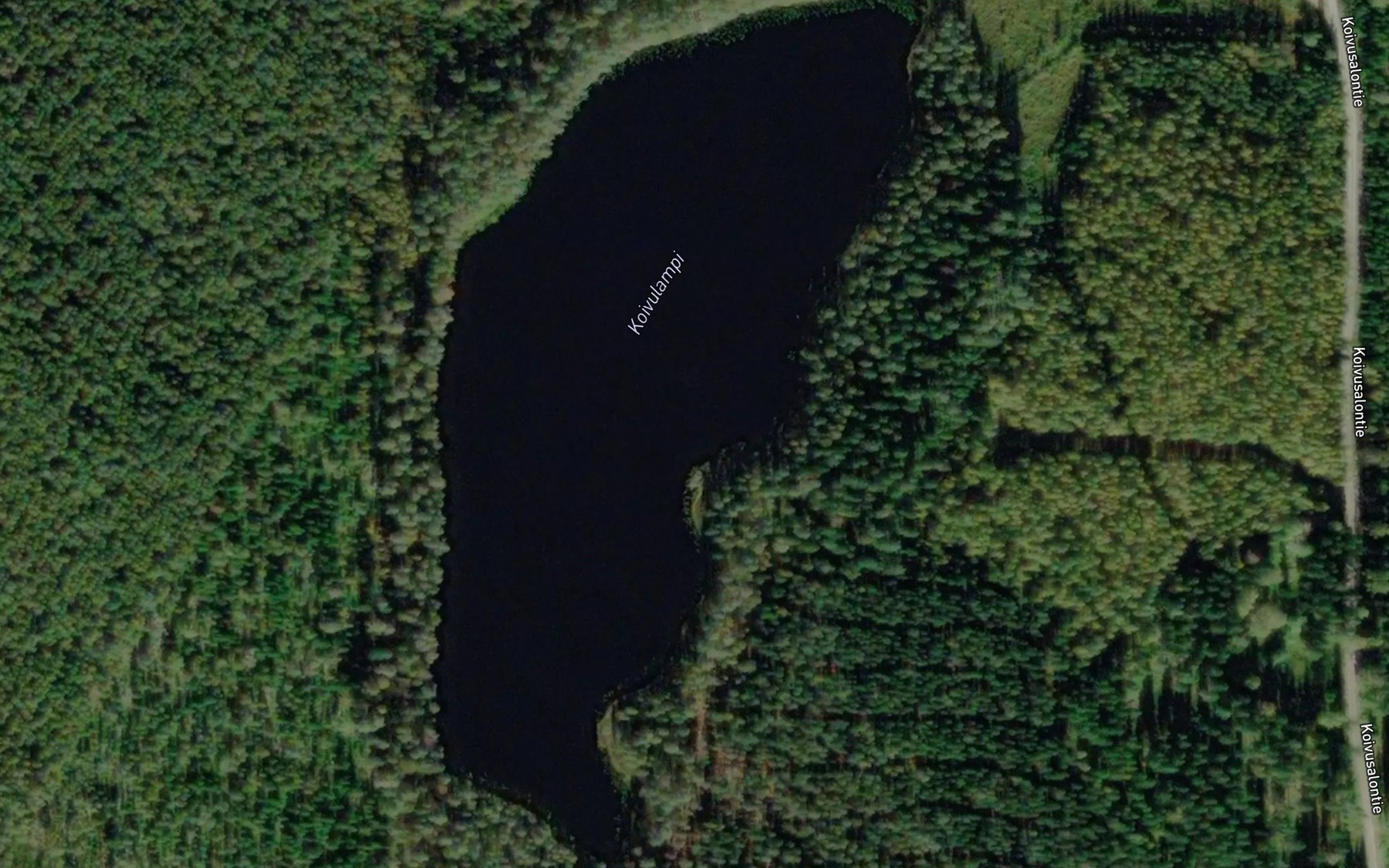 Satellite map of the Koivulampi