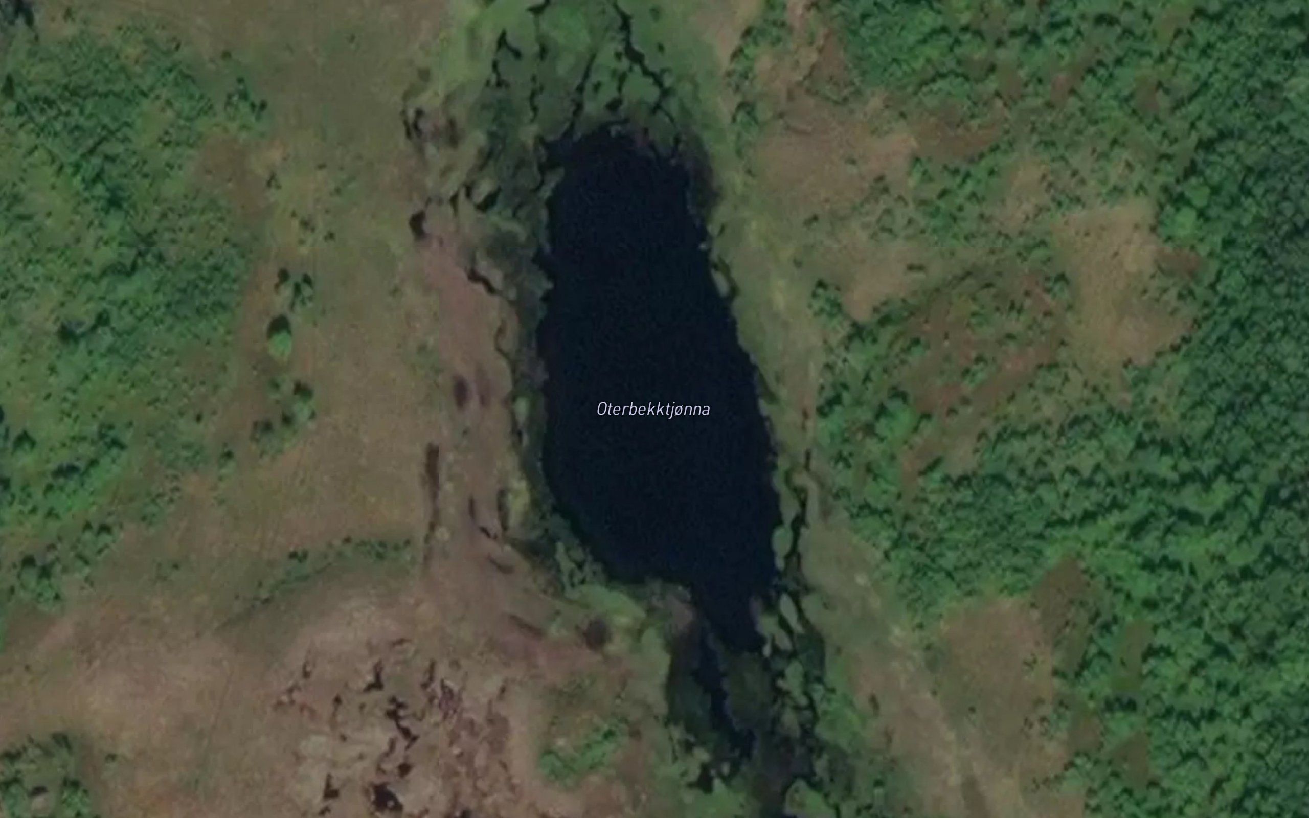 Oterbekktjonna