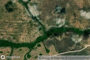 Morichal Los Novillos