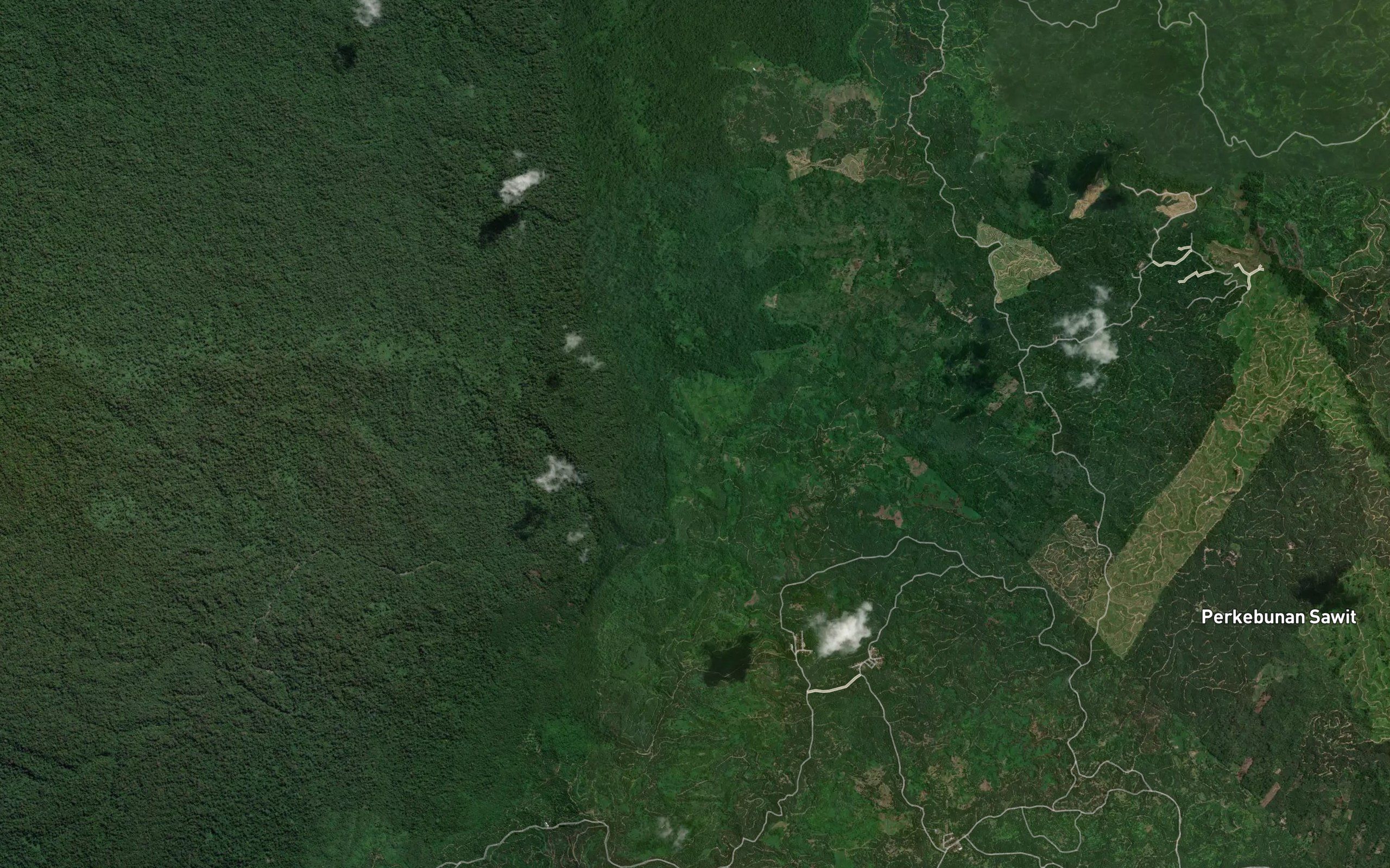 Sungai Lepan Kecil