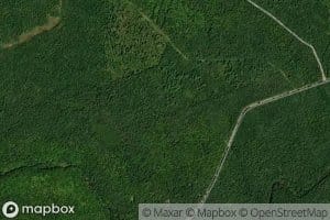 North Branch McInnes Brook