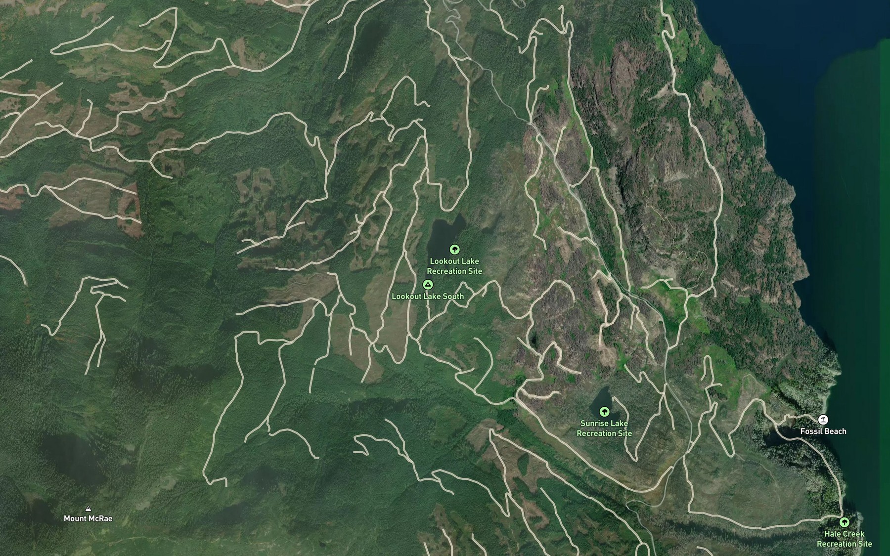 Satellite map of the Lookout Lake