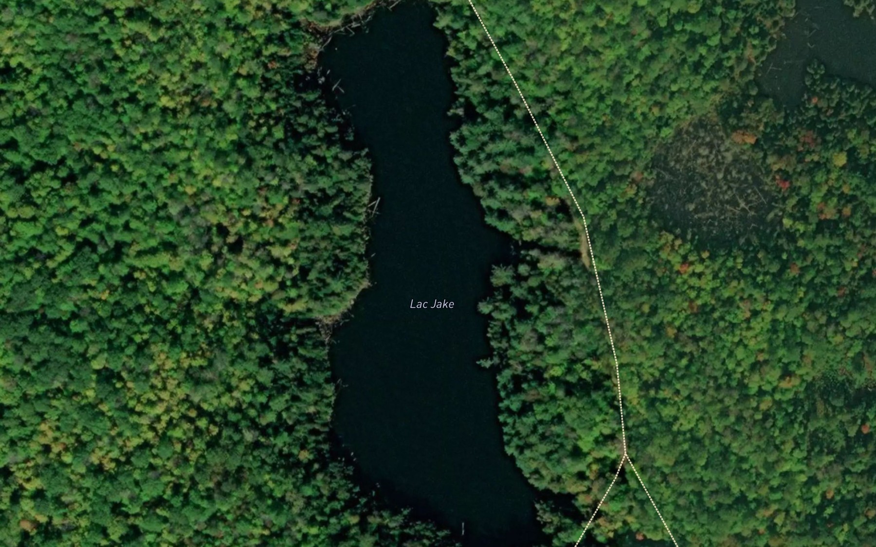 Satellite map of the Lac Jake