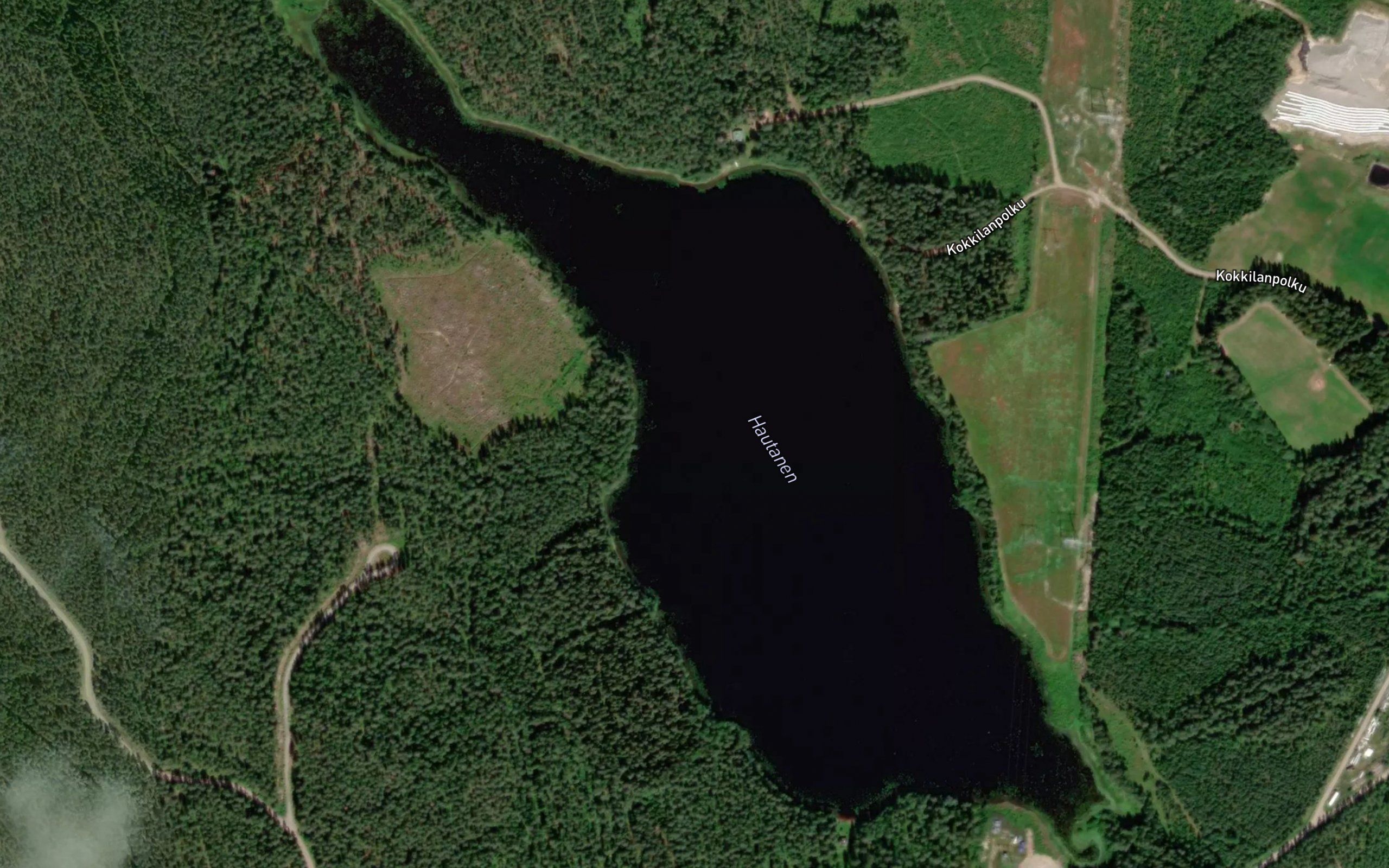 Hautanen