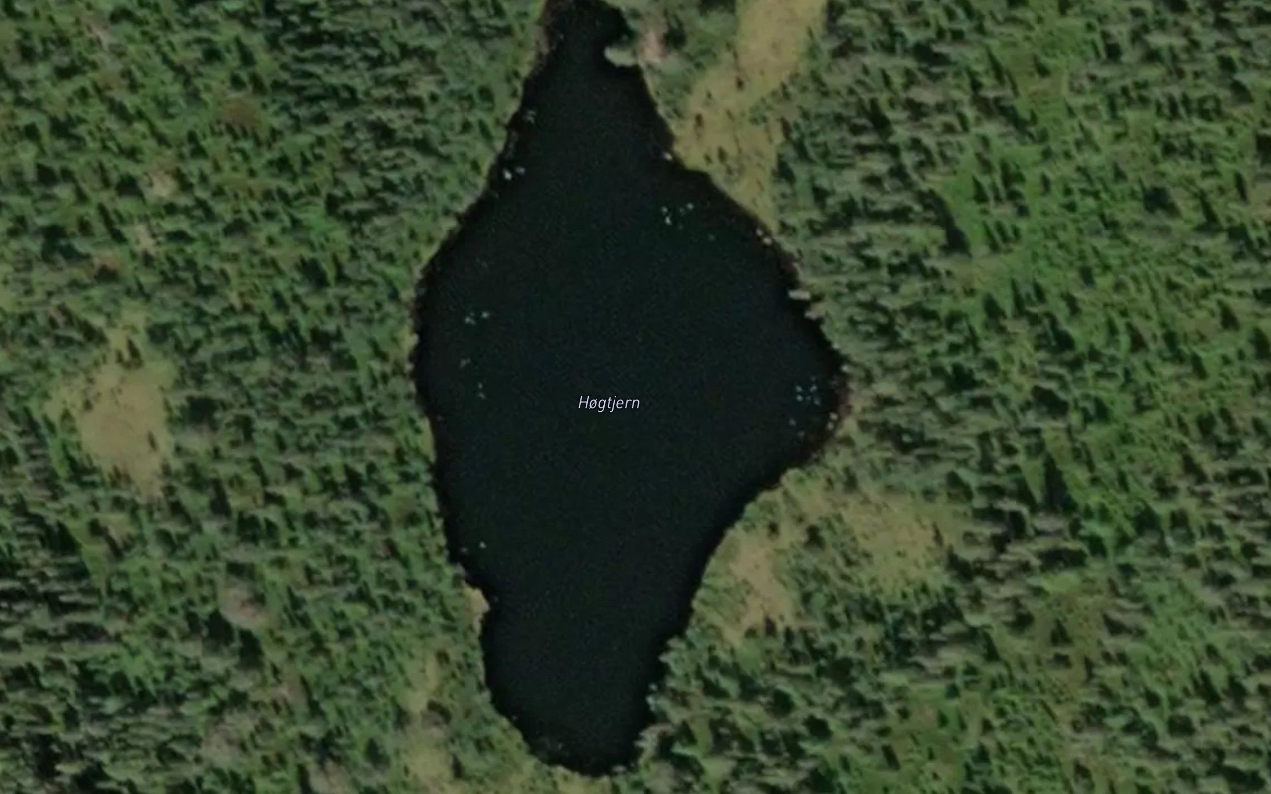 Hogtjern