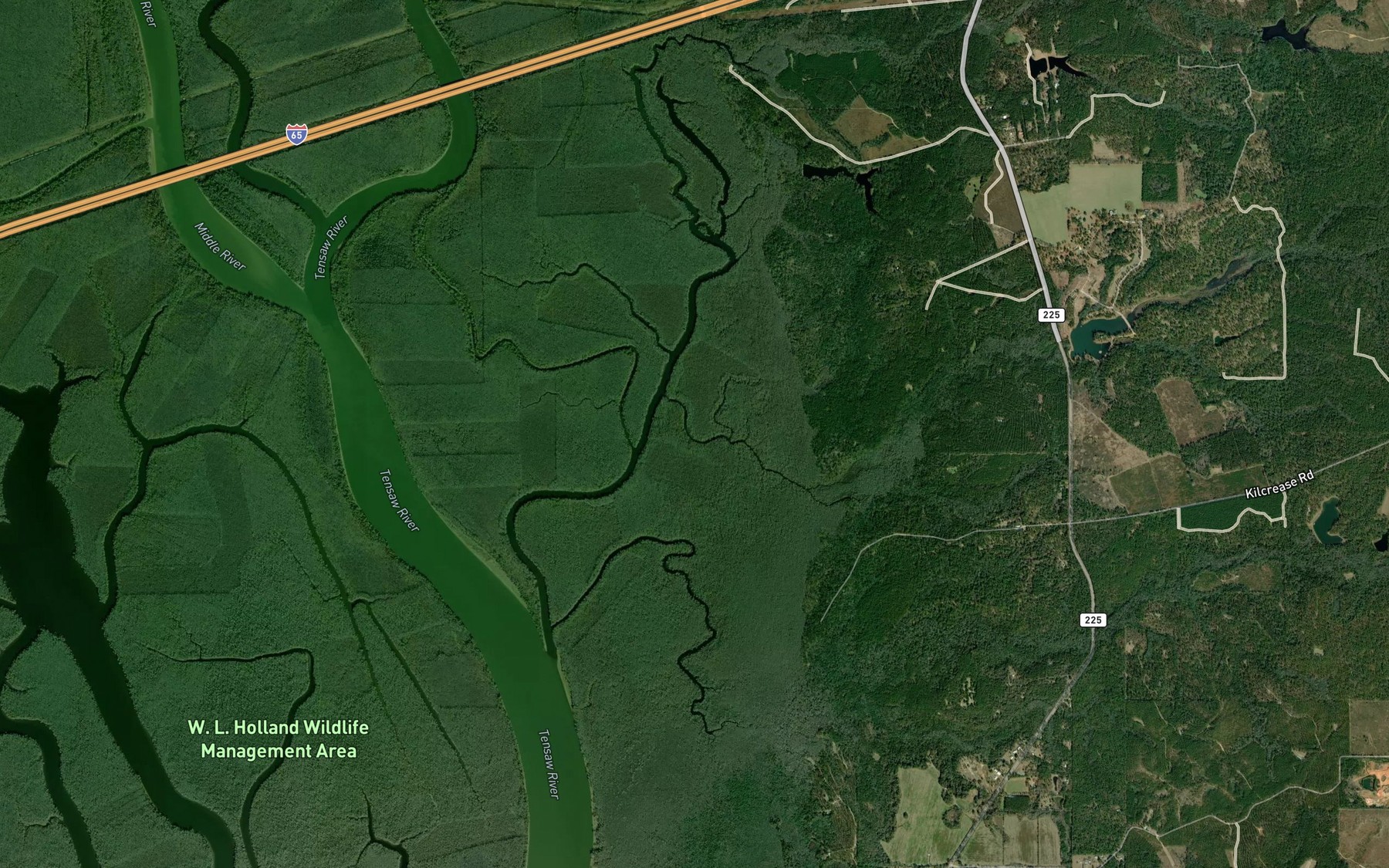Satellite map of the Killcreas Lake