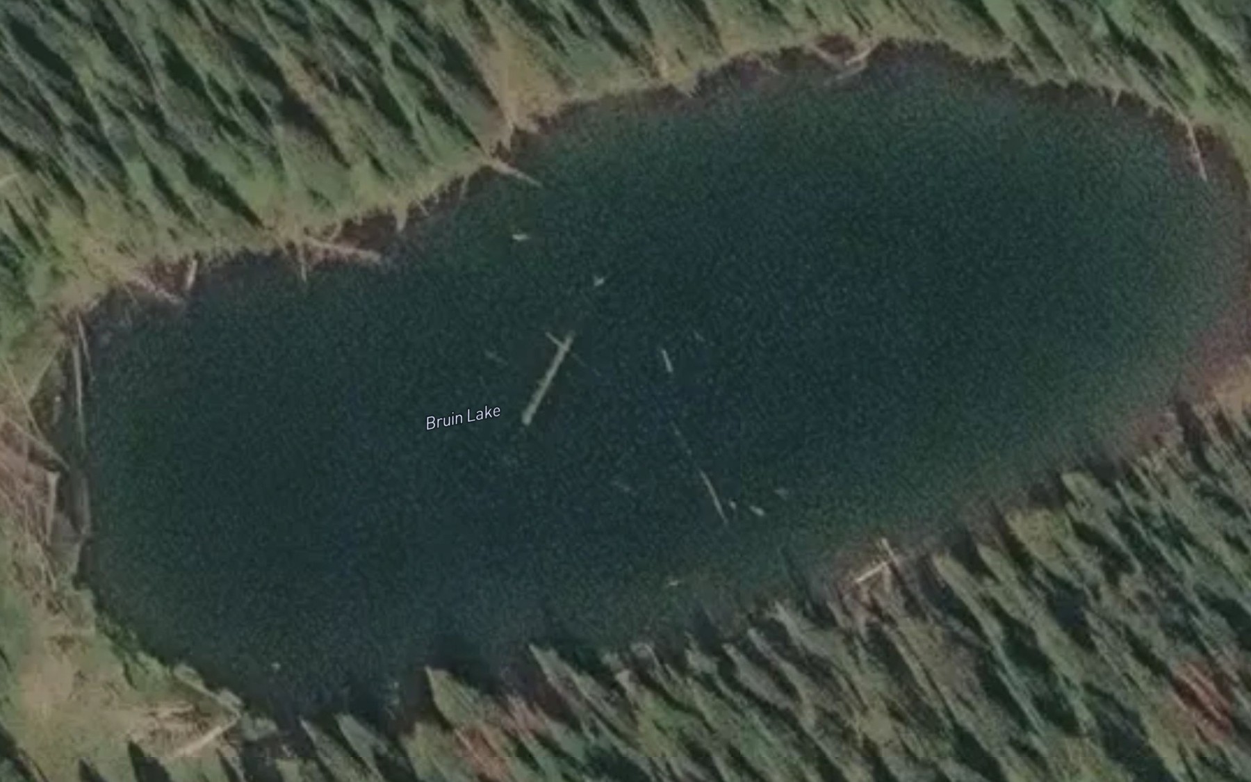 Satellite map of the Bruin Lake