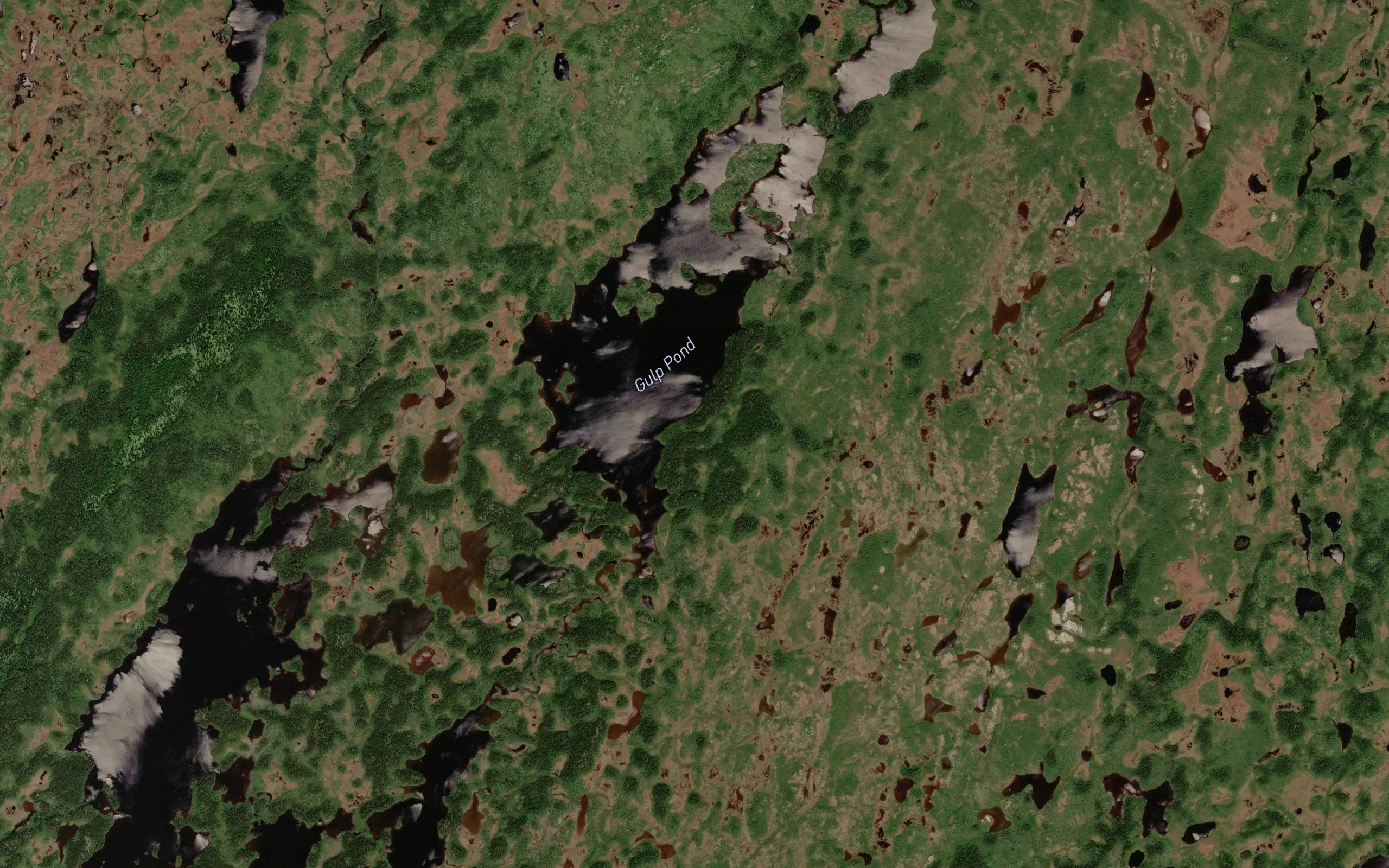 Gulp Pond