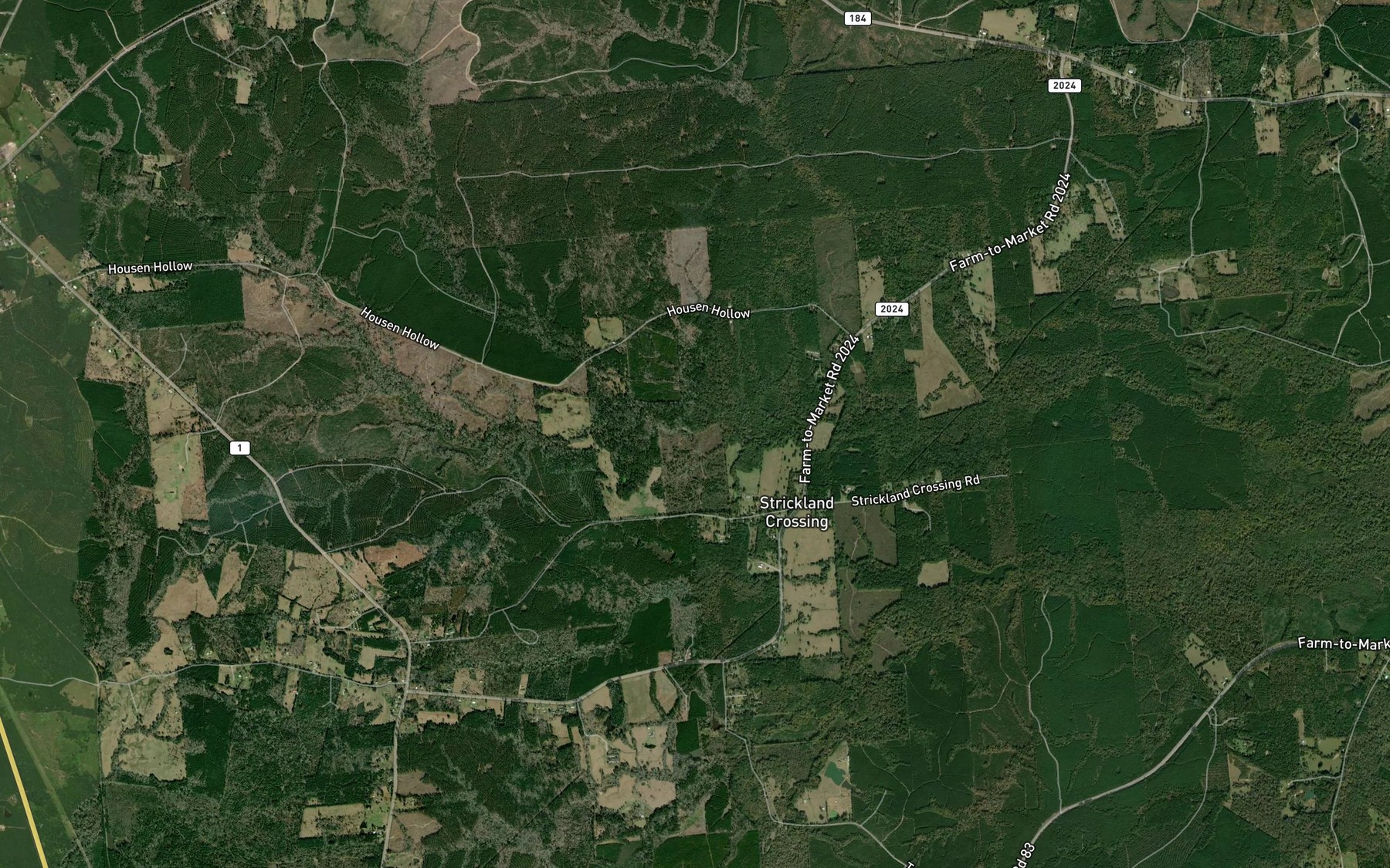 Satellite map of the Lick Branch