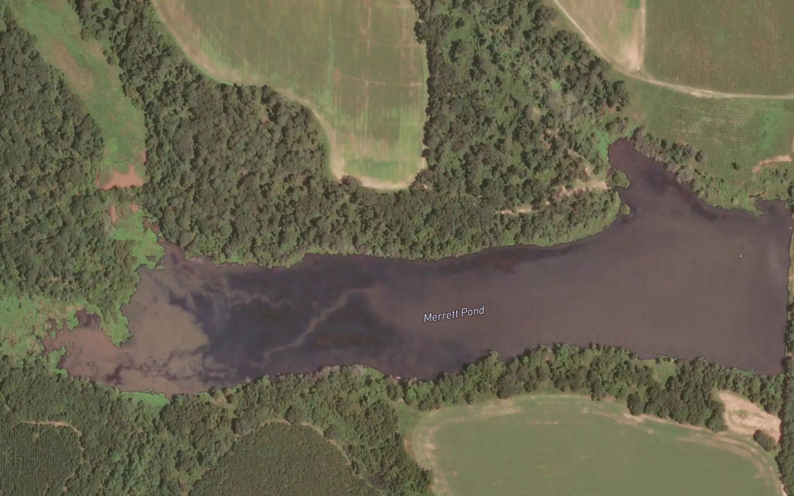 Merrett Pond