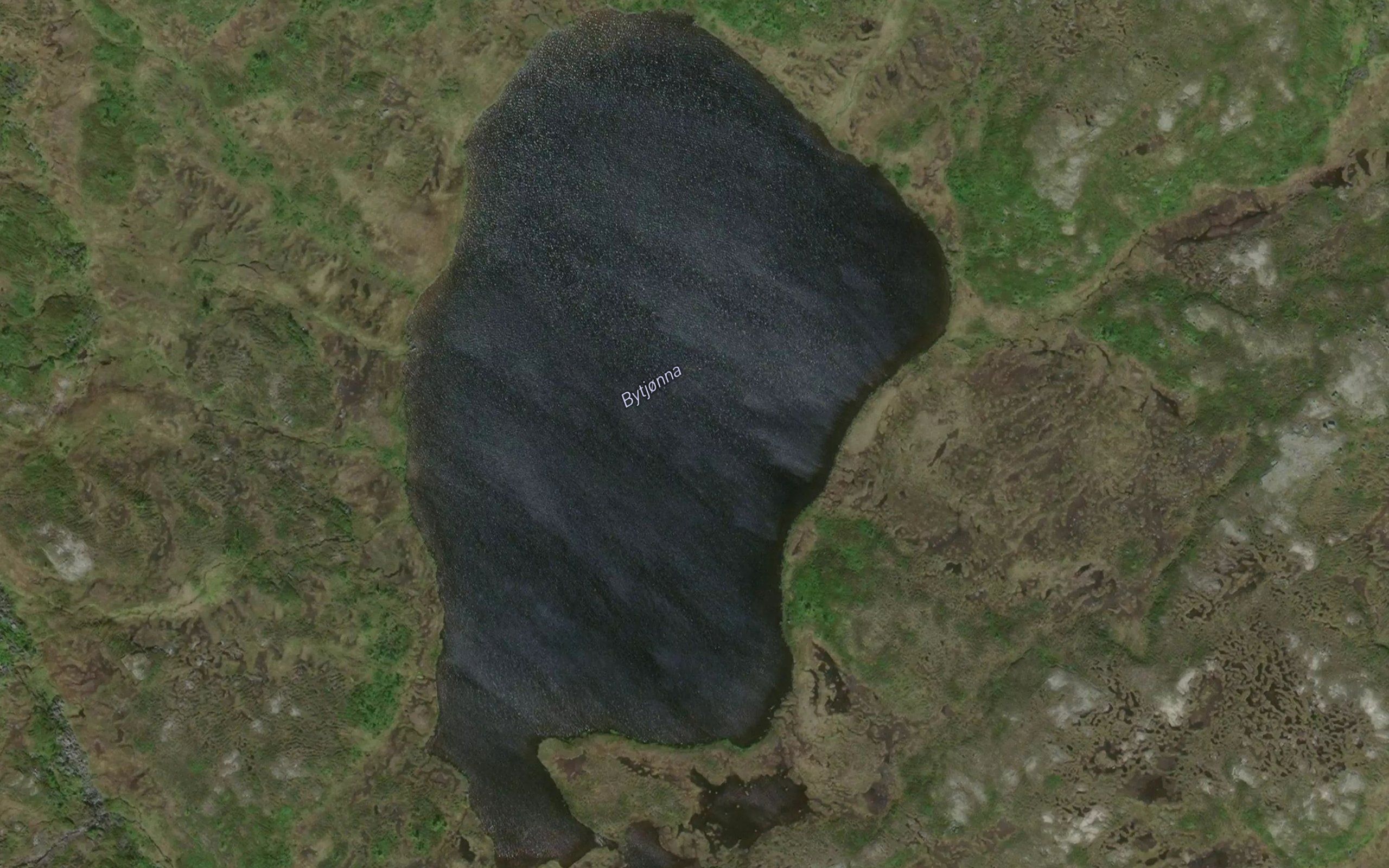 Bytjorna