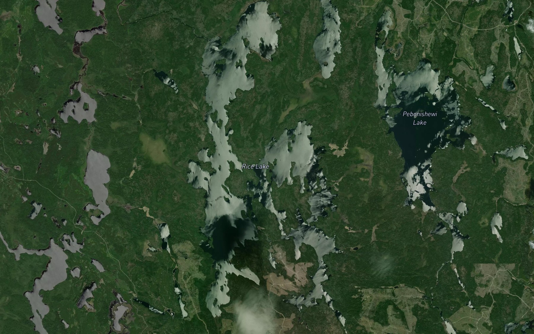Satellite map of the Rice Lake