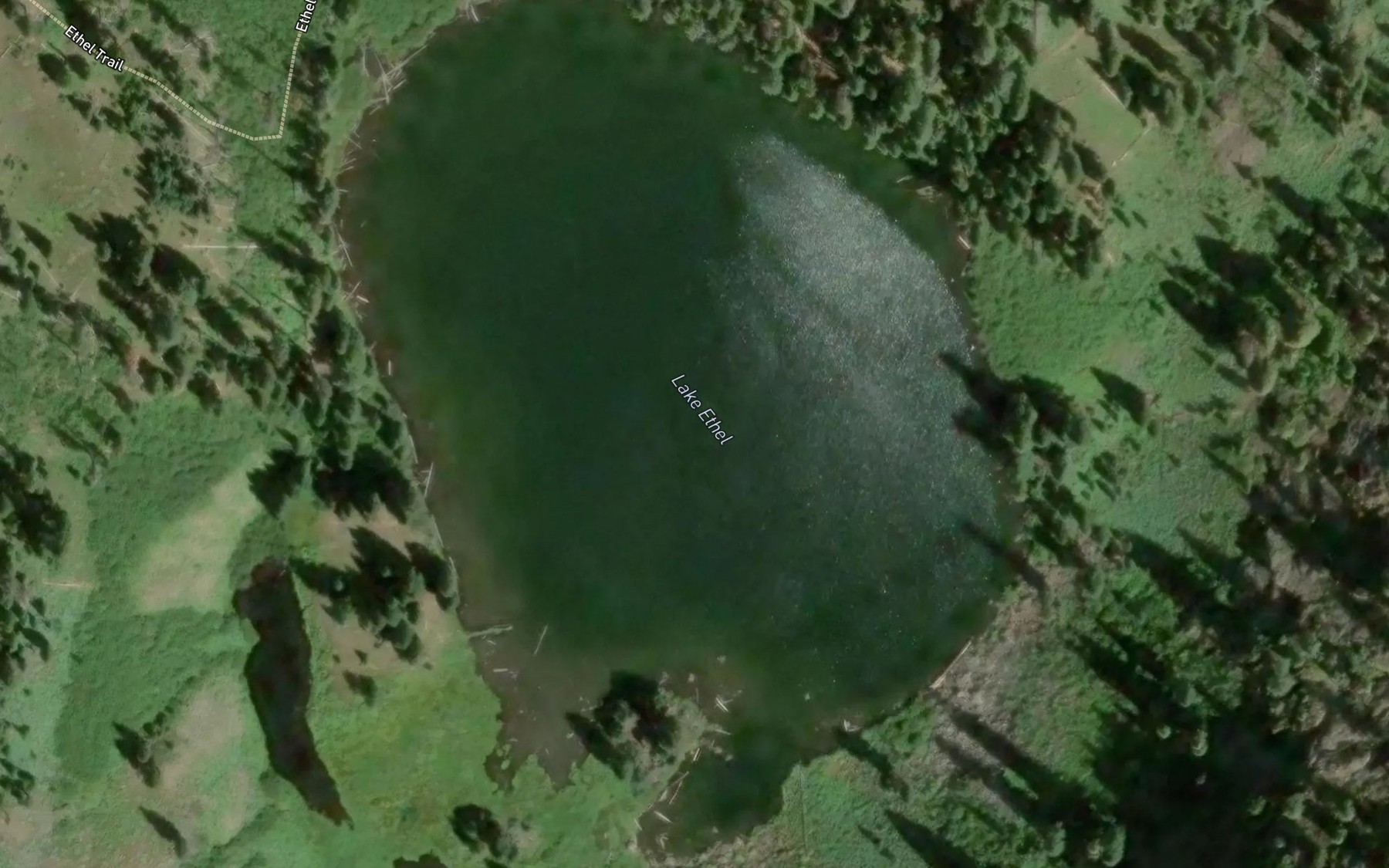 Satellite map of the Lake Ethel