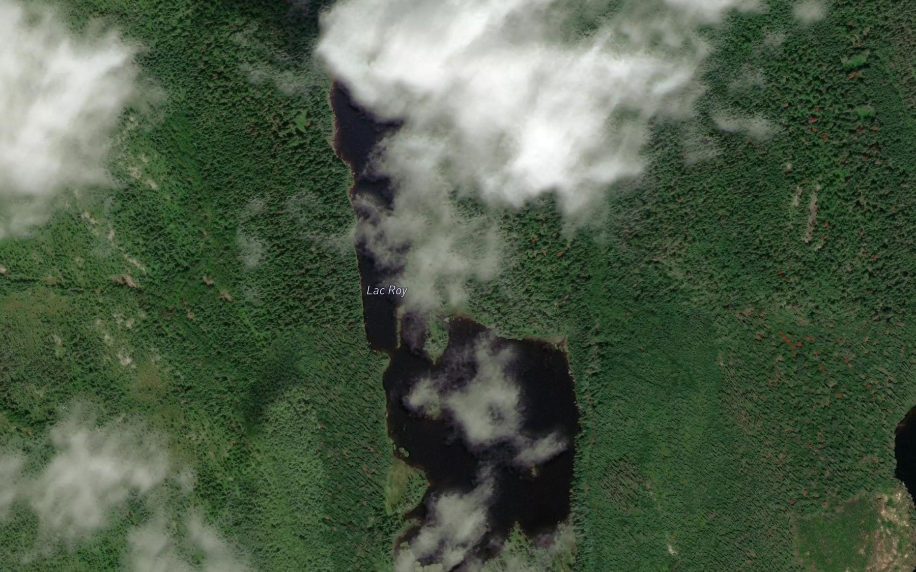 Satellite map of the Lac Roy