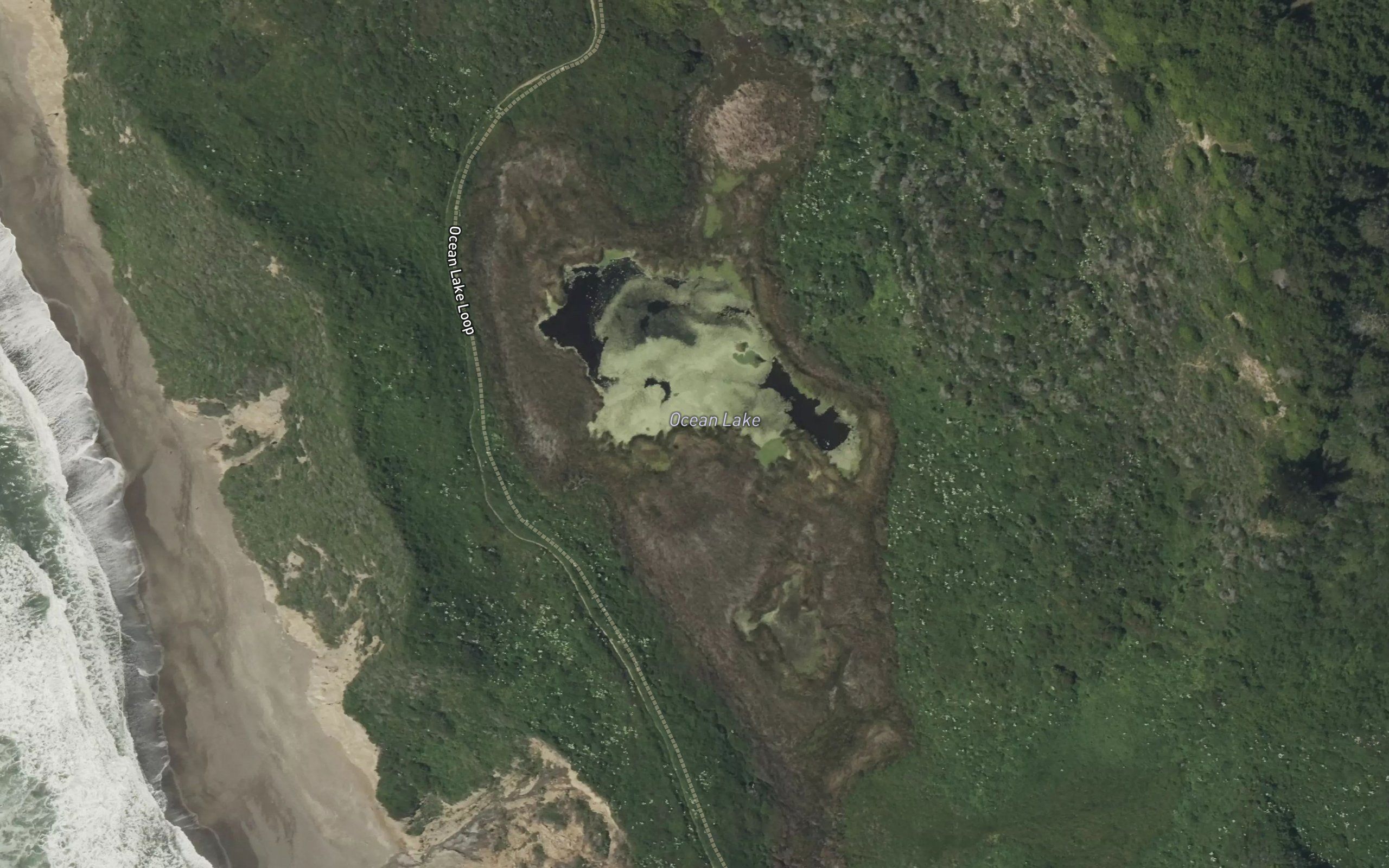 Ocean Lake