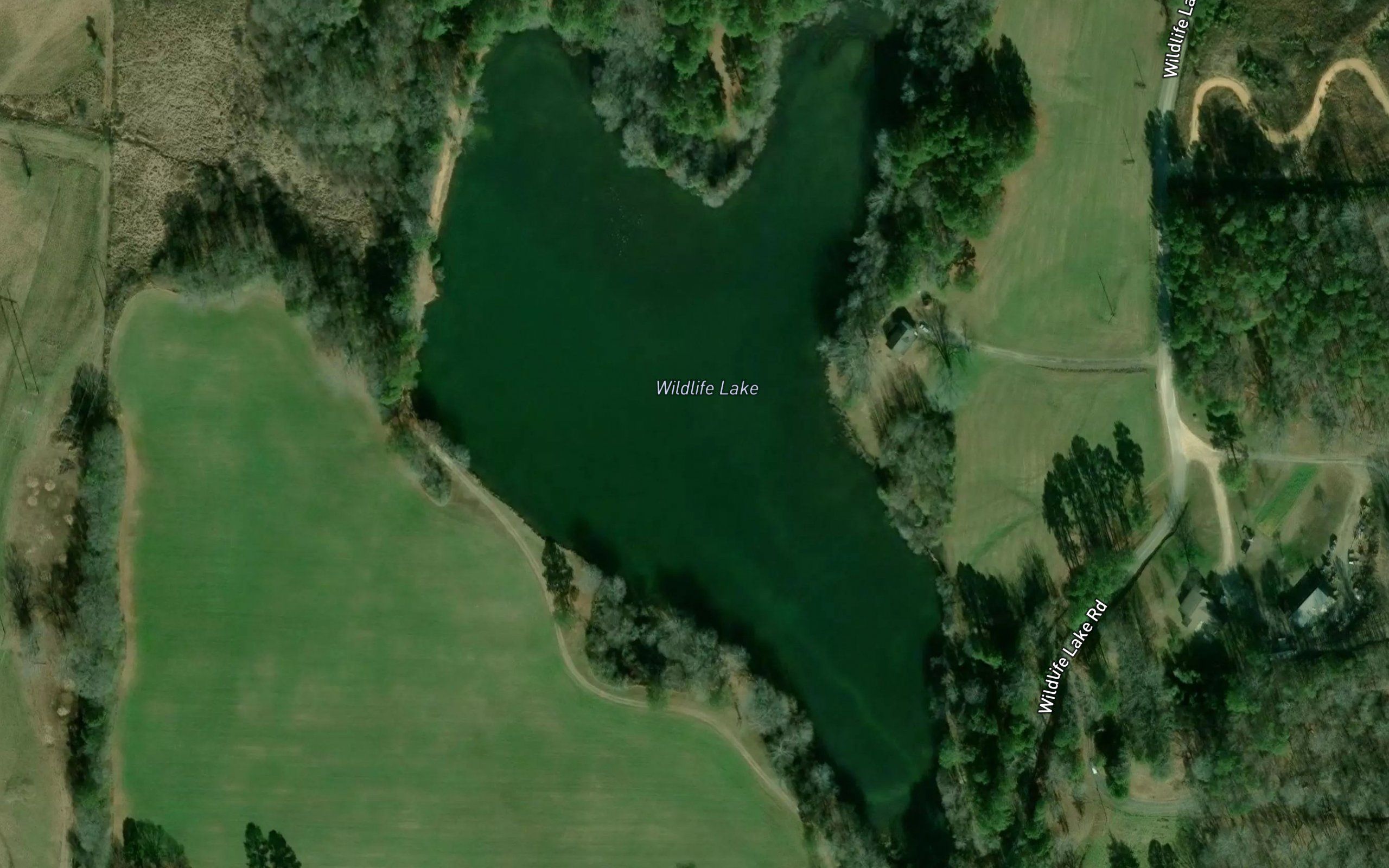 Wildlife Lake