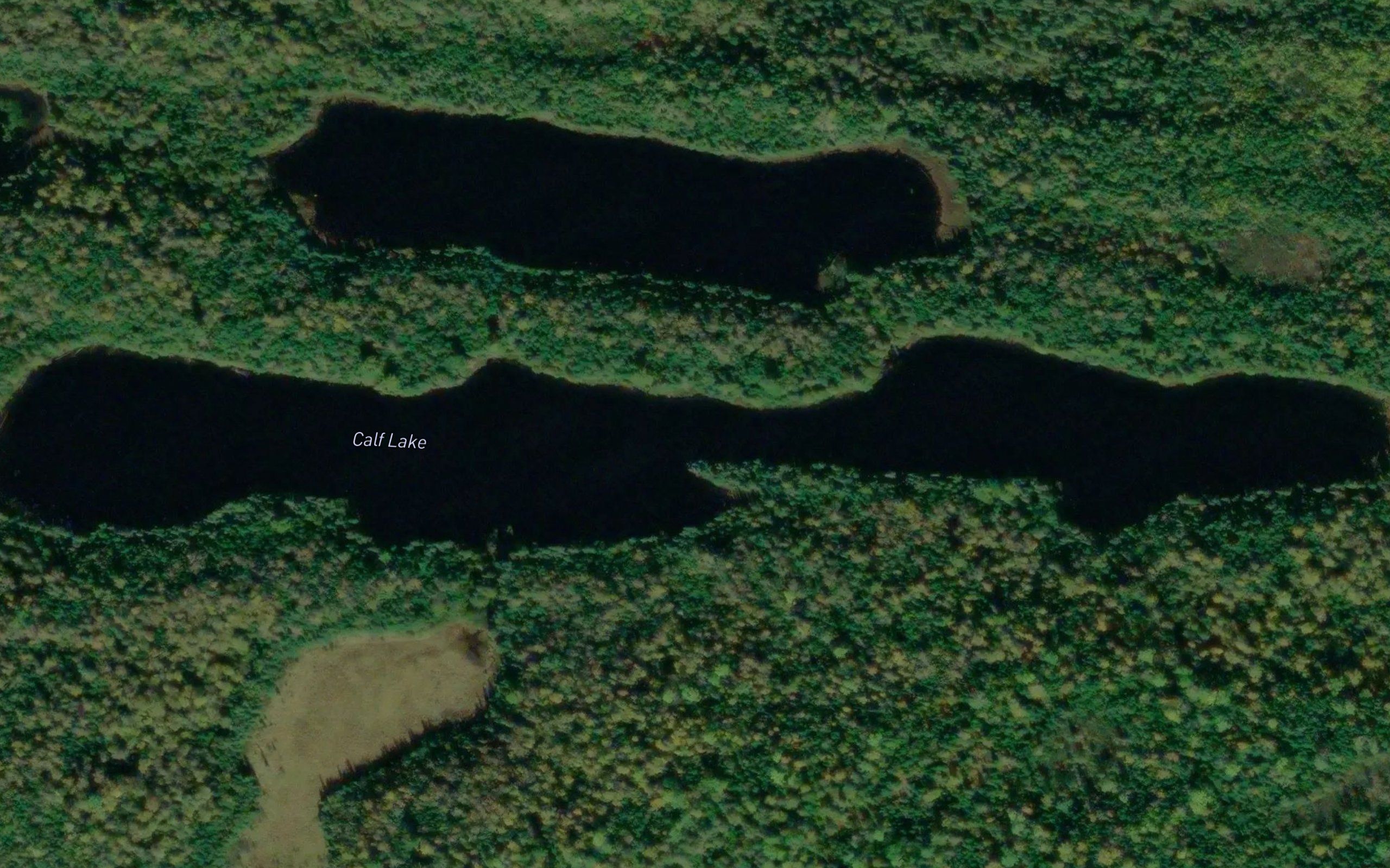 Calf Lake