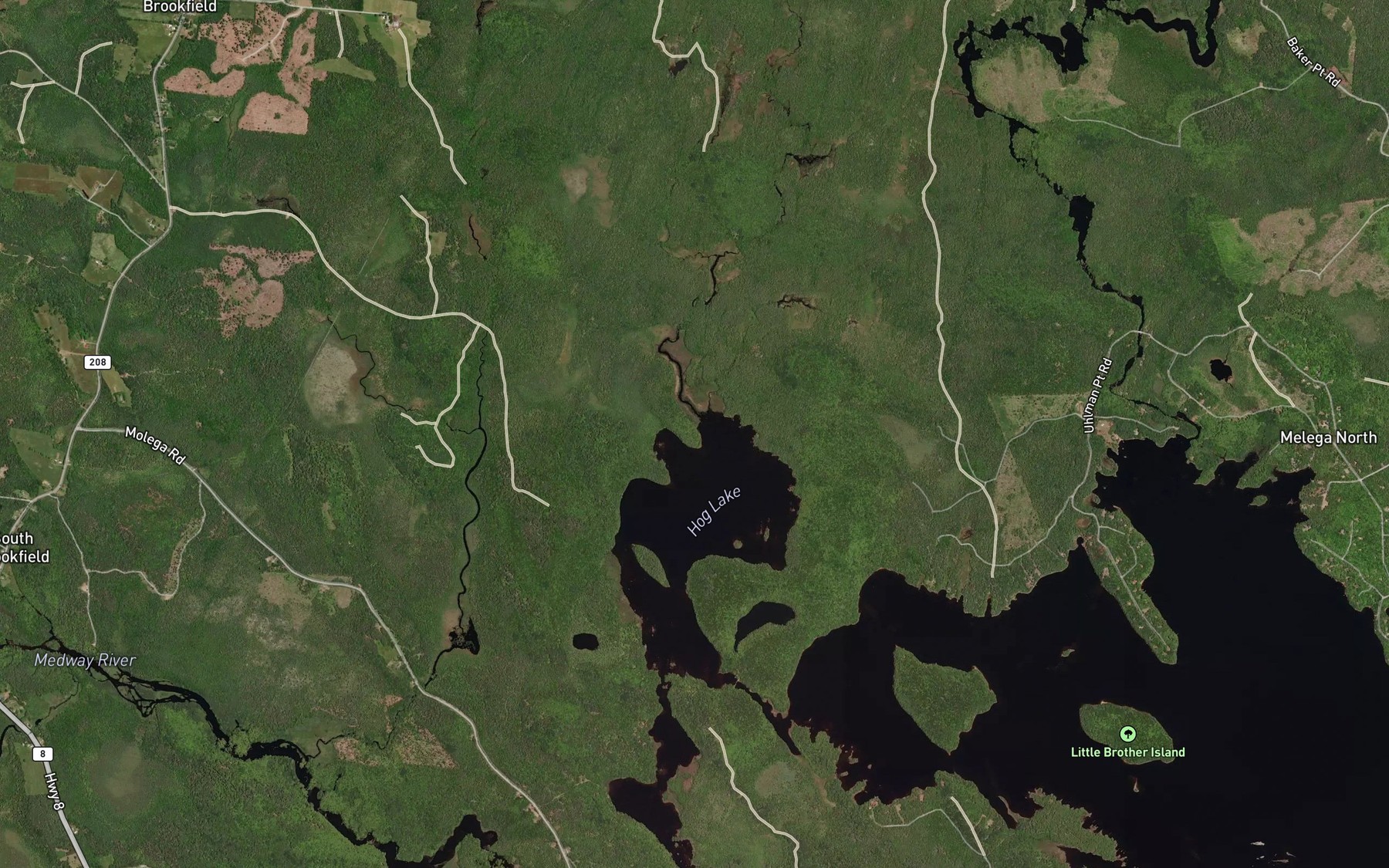 Satellite map of the Hog Lake Meadow Brook