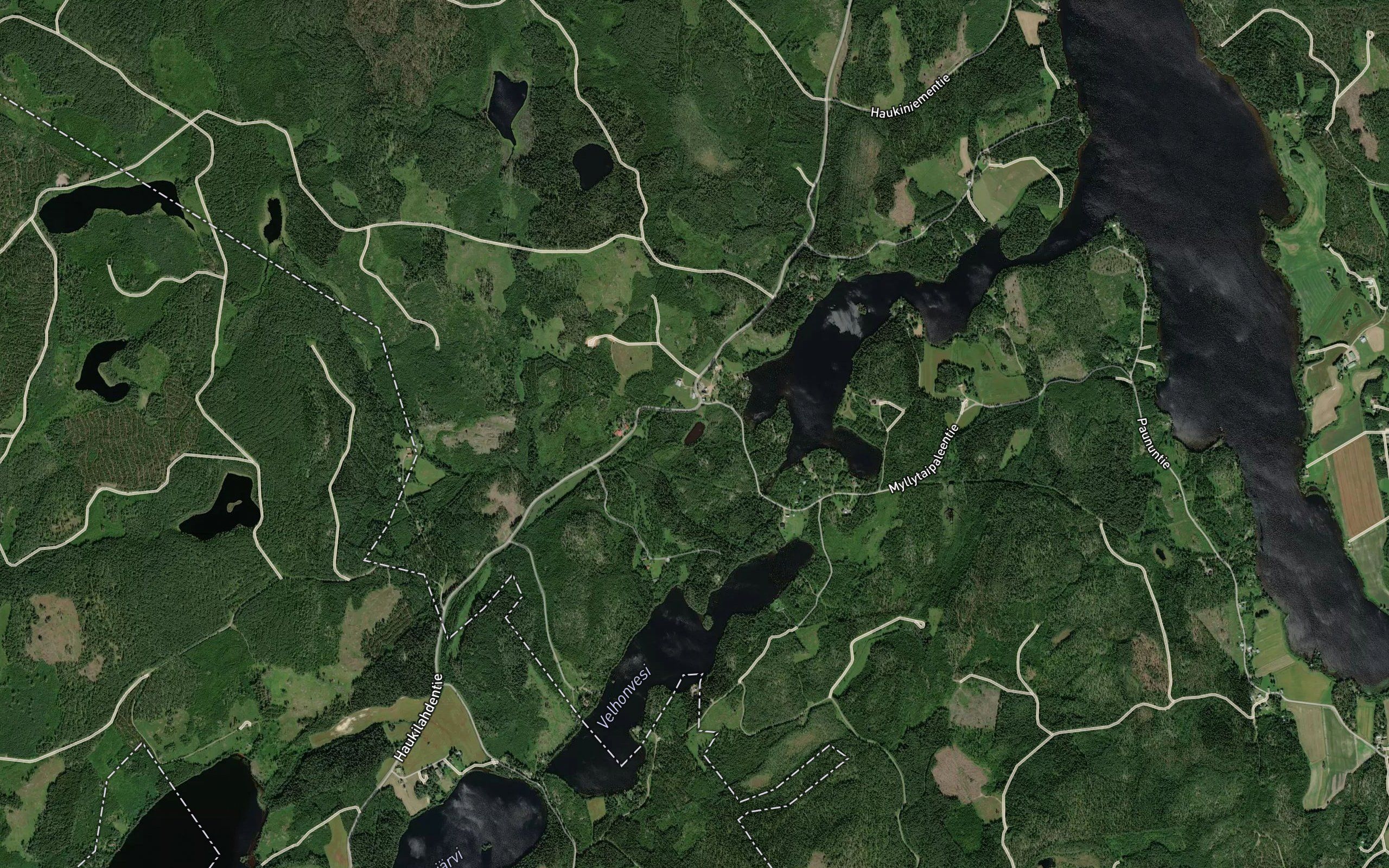 Haukilammi