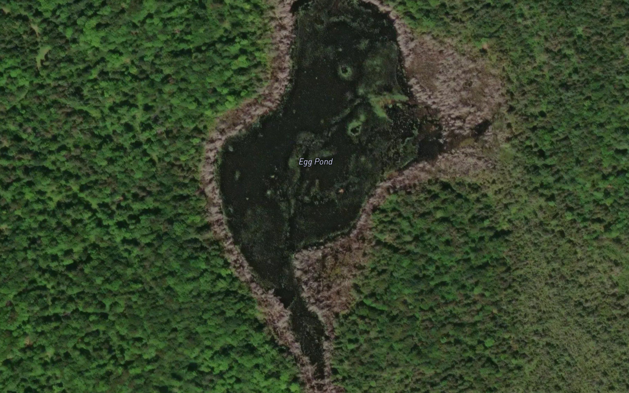 Egg Pond