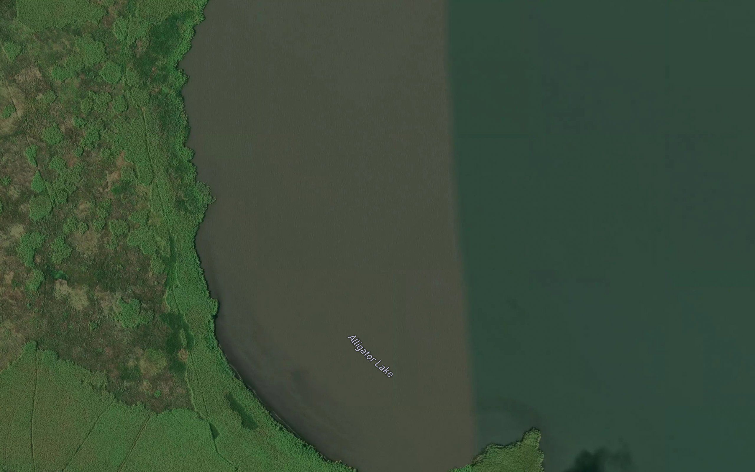 Alligator Lake